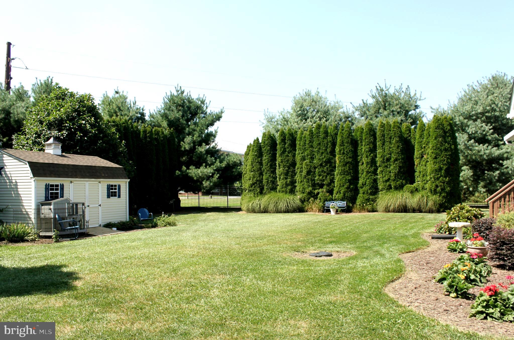 1622 Forrest Avenue Dover, DE 19904 - Photo 13 of 37 Backyard