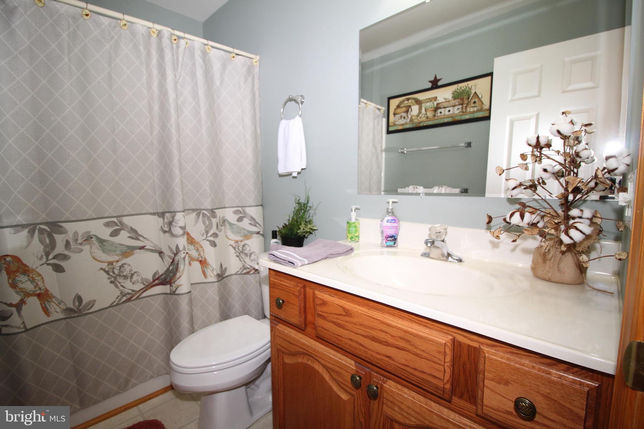 1622 Forrest Avenue Dover, DE 19904 - Photo 32 of 37 Hall bath