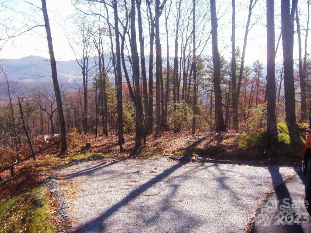 0 Brighton Drive, Unit 224 Bostic, NC 28018 - Photo 13 of 15