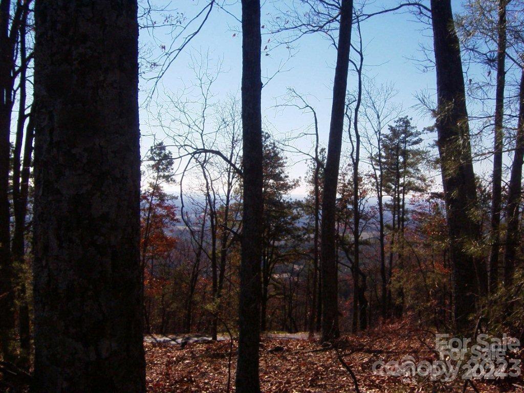 0 Brighton Drive, Unit 224 Bostic, NC 28018 - Photo 15 of 15