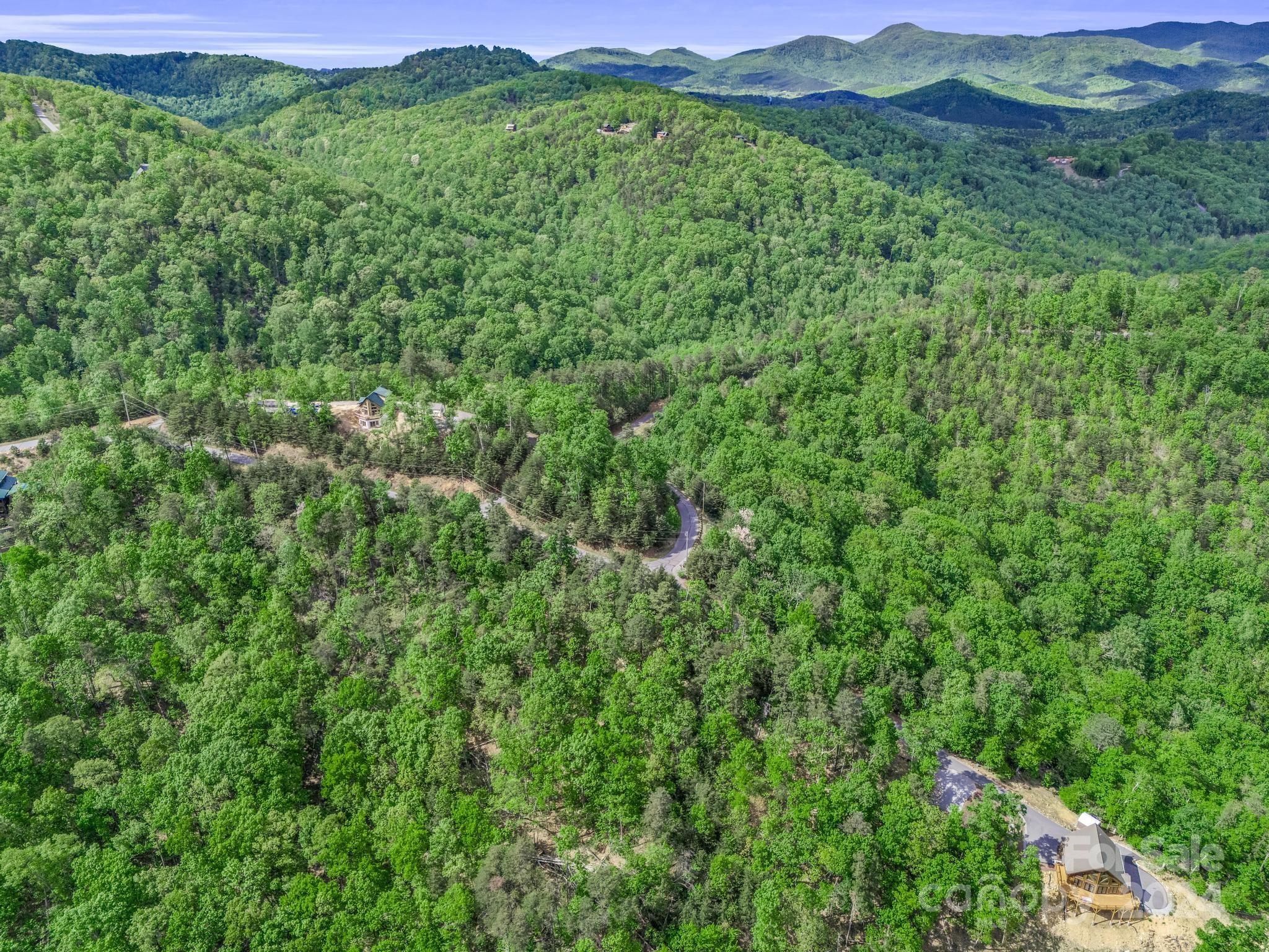 0 Brighton Drive, Unit 224 Bostic, NC 28018 - Photo 4 of 15