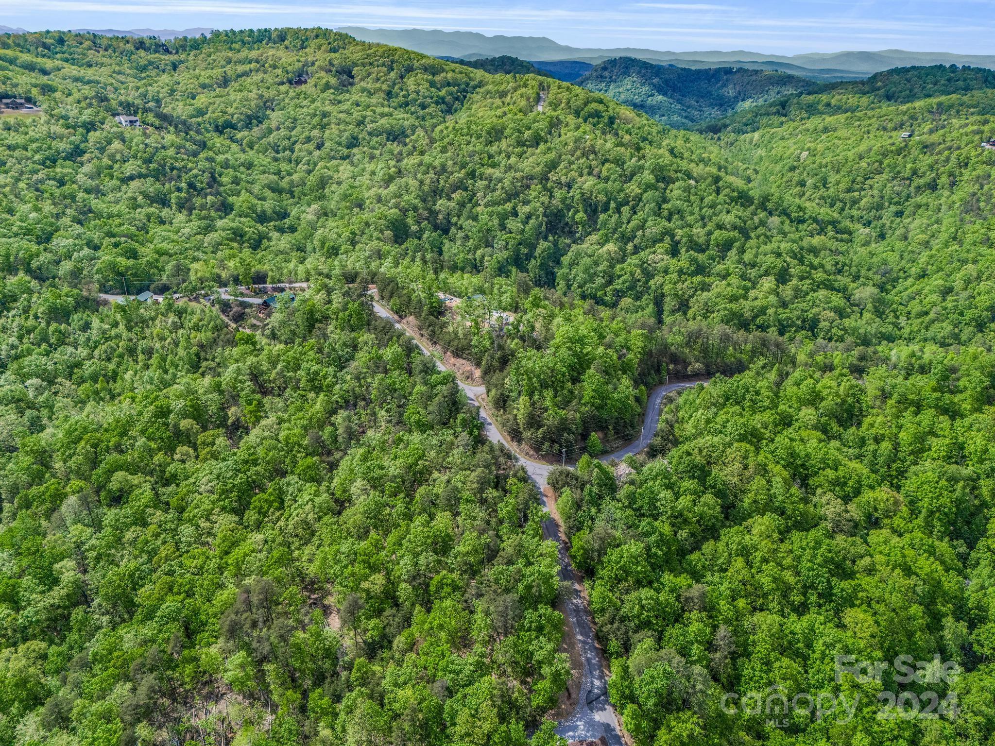 0 Brighton Drive, Unit 224 Bostic, NC 28018 - Photo 5 of 15