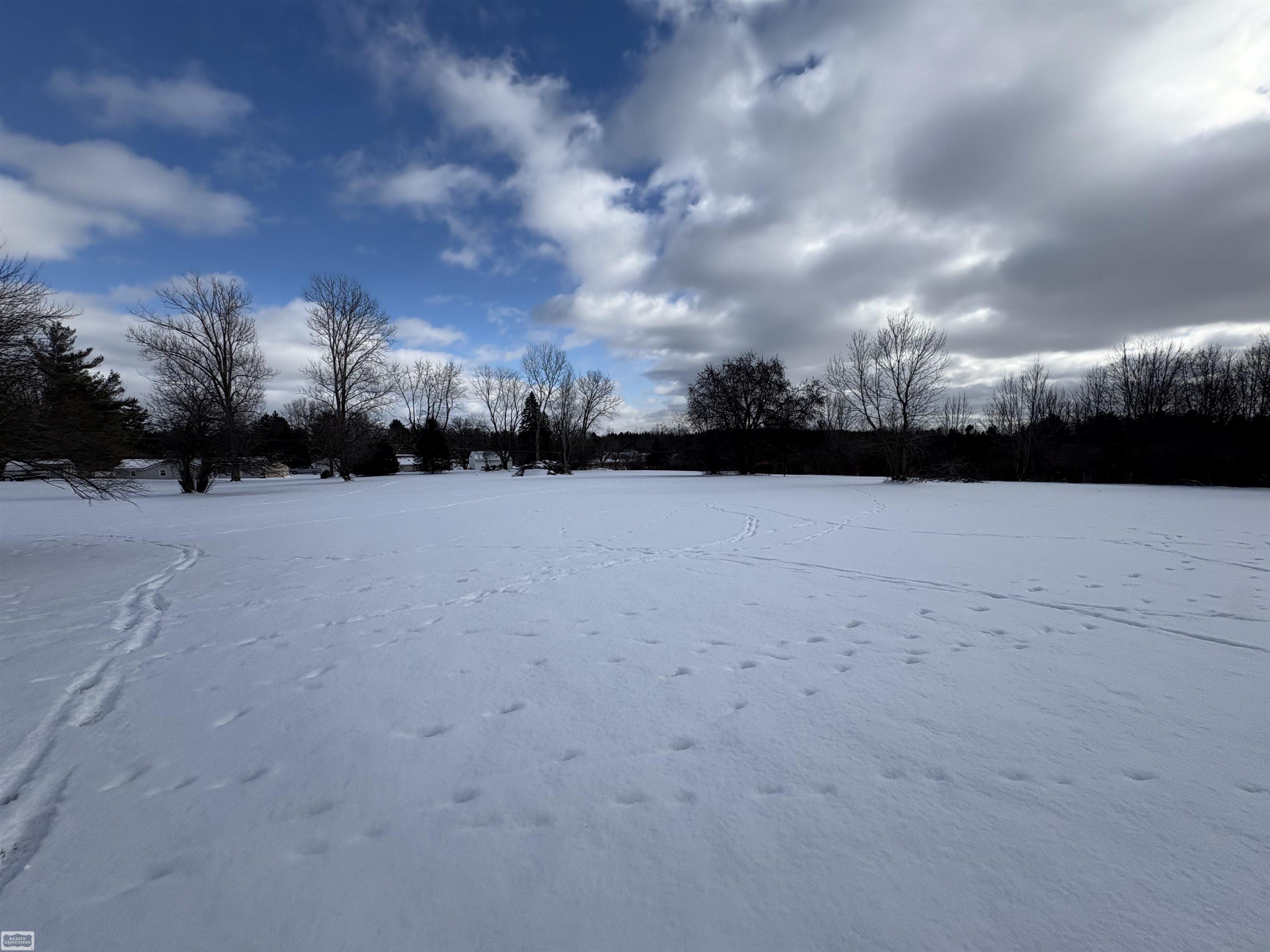 50196779-782f6379-78b5-4567-ab09-0852839fec61.JPG
