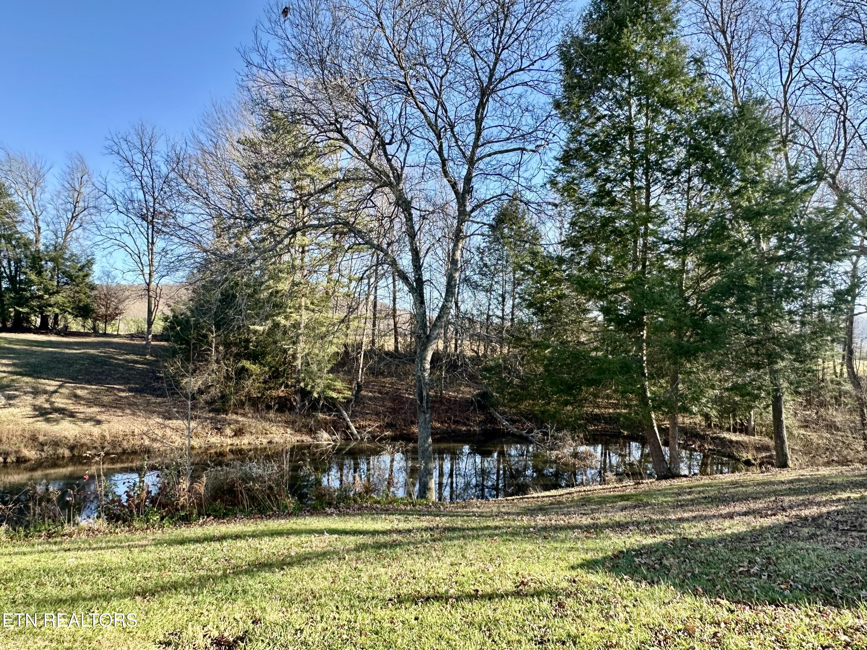 1500 Coalhill Road Sunbright, TN 37872 - Photo 18 of 20 IMG_2737