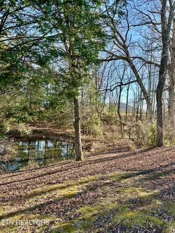 $142,500 | 1500 Coalhill Road, Sunbright, TN 37872