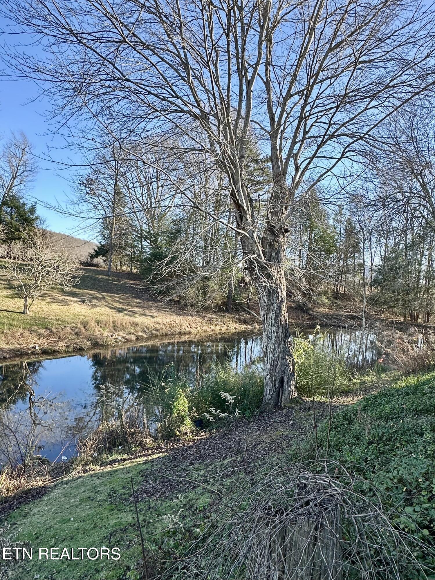 1500 Coalhill Road Sunbright, TN 37872 - Photo 2 of 20 IMG_2733