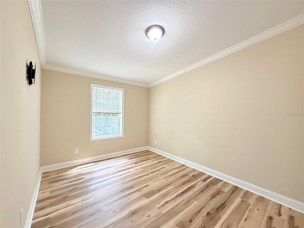 16744 Race Track Road Odessa, FL 33556 - Photo 13 of 39
