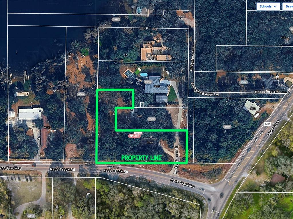 16744 Race Track Road Odessa, FL 33556 - Photo 4 of 39