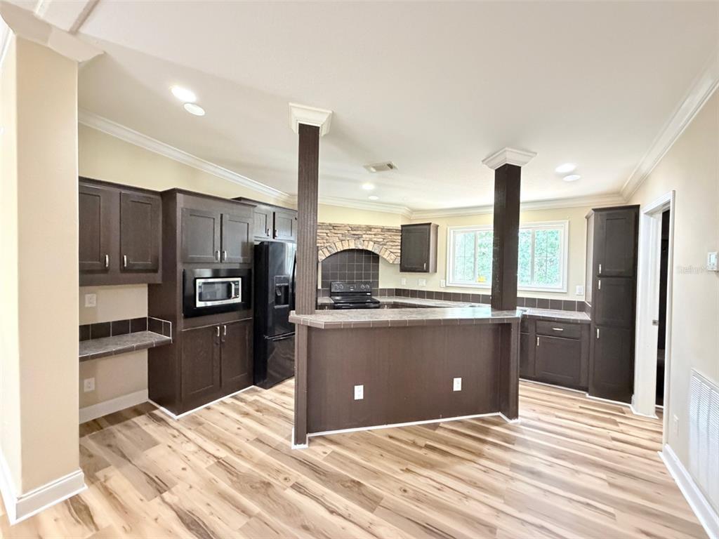 16744 Race Track Road Odessa, FL 33556 - Photo 10 of 39
