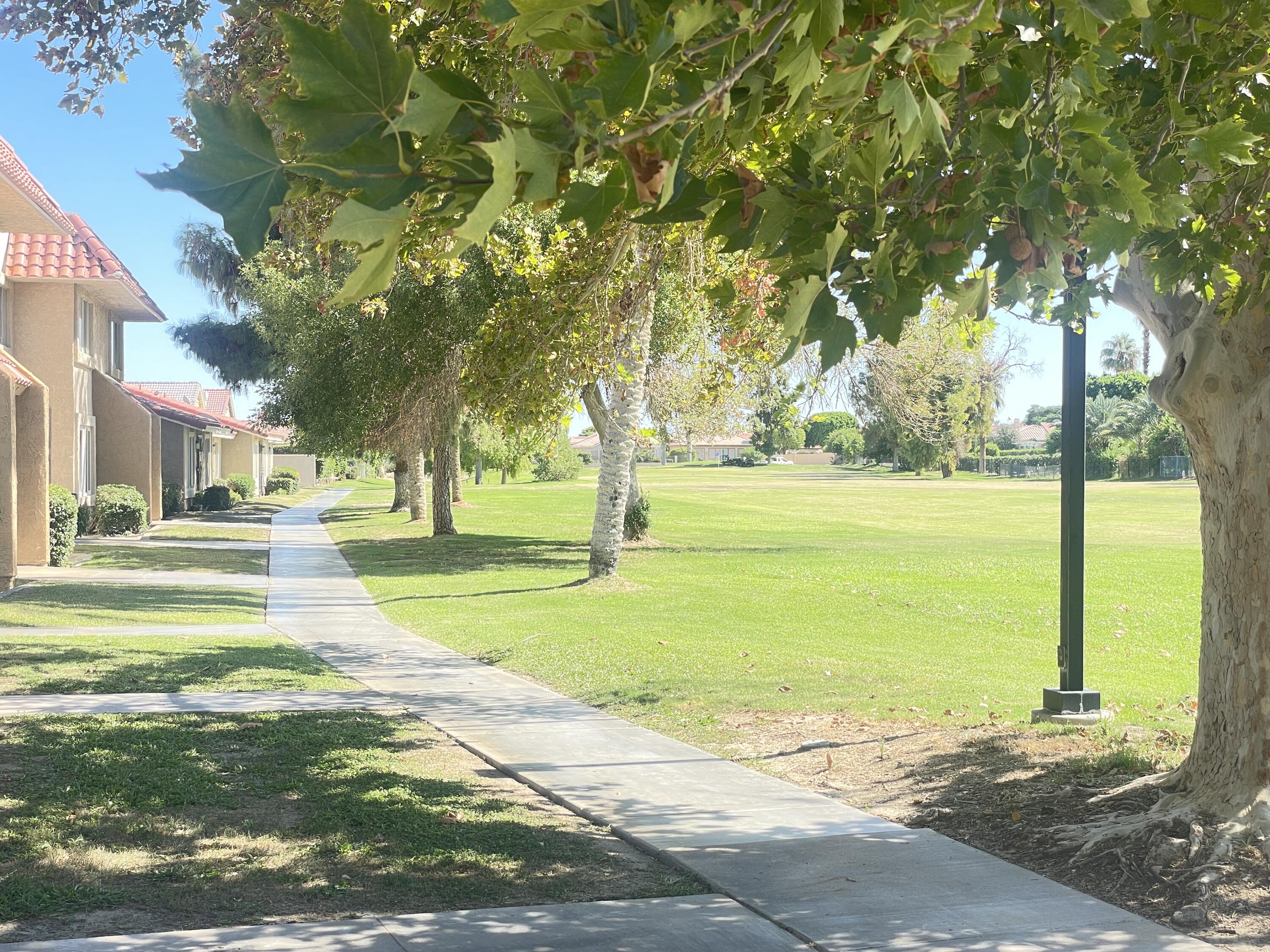 82567 Ave 48, Unit 36 Indio, CA 92201 - Photo 12 of 27 a view of a park with large trees