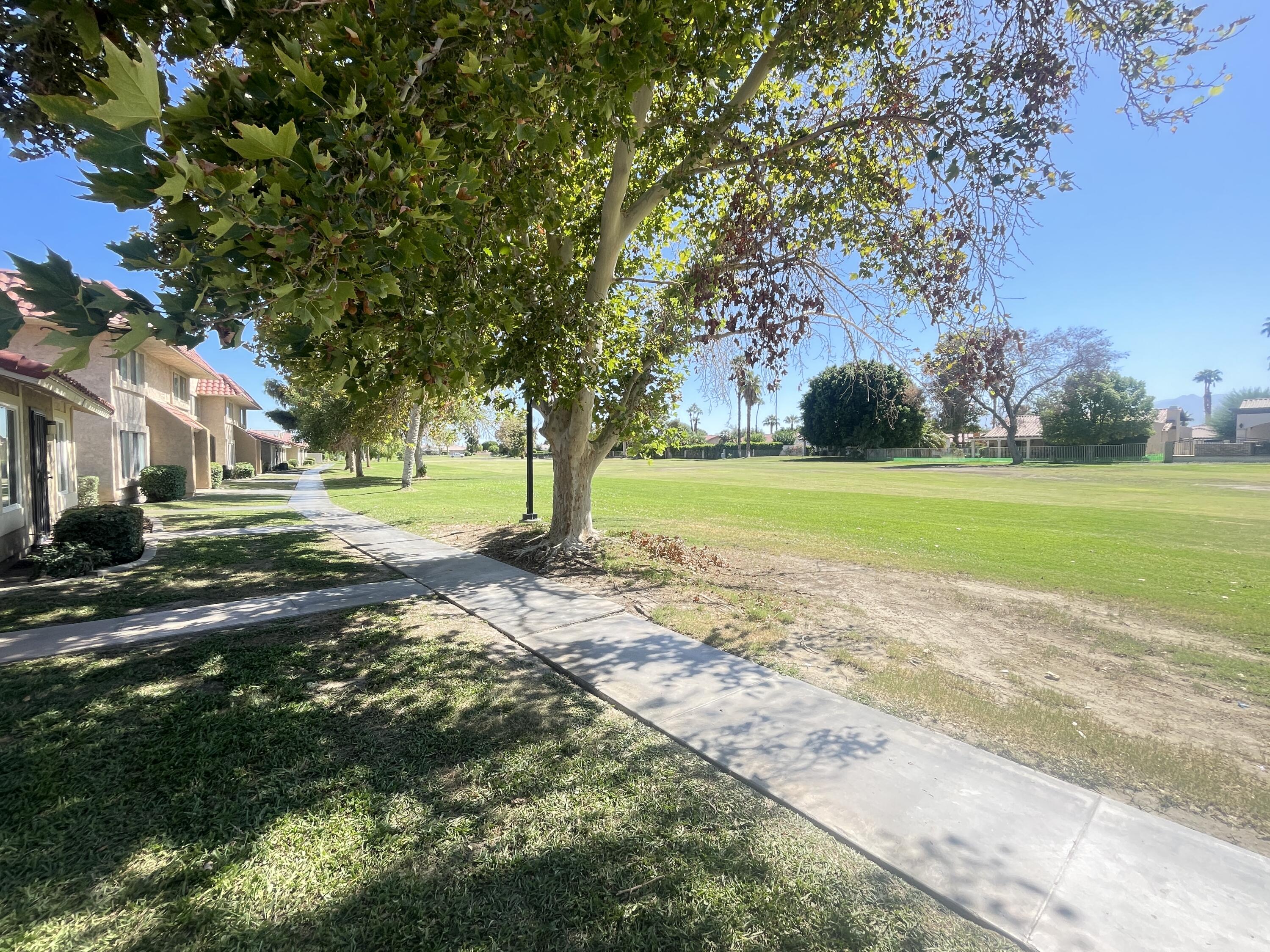 82567 Ave 48, Unit 36 Indio, CA 92201 - Photo 14 of 27 a view of a yard with of trees