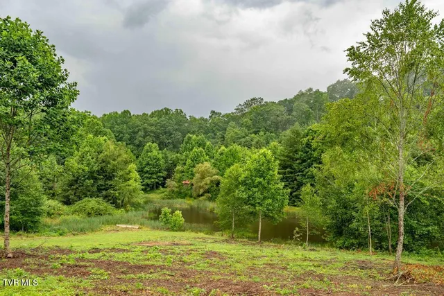 $894,000 | 306 Bear Branch Road, Roan Mountain, TN 37687