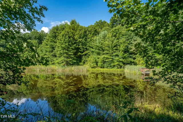 $894,000 | 306 Bear Branch Road, Roan Mountain, TN 37687