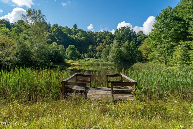 $894,000 | 306 Bear Branch Road, Roan Mountain, TN 37687