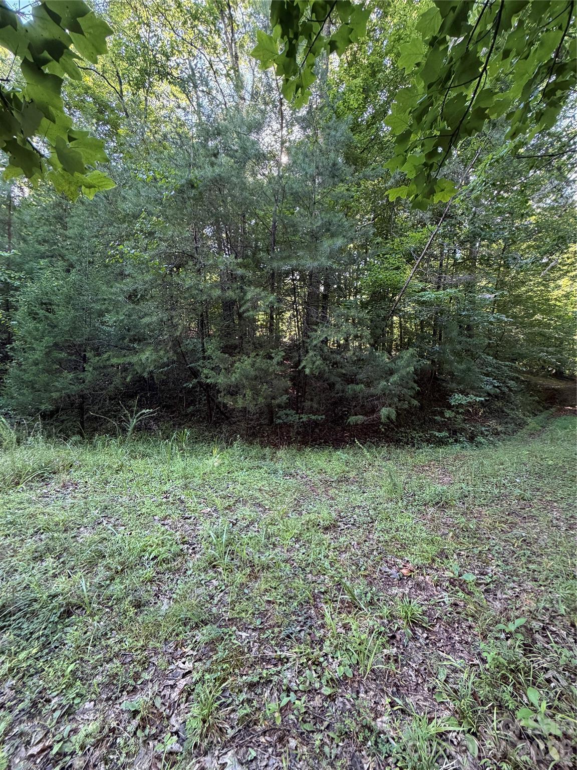 0 Greenhill Farms Drive, Unit 15 Rutherfordton, NC 28139 - Photo 6 of 10