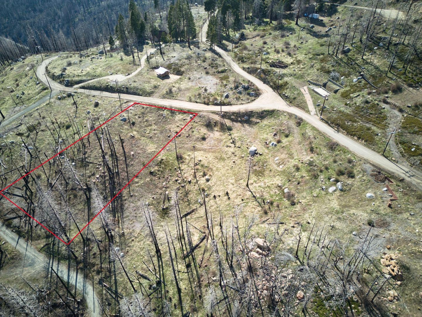 52975 Alpine Drive Springville, CA 93265 - Photo 13 of 23 a view of a backyard with a tree