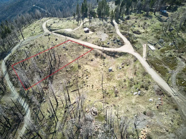 a view of a backyard with wooden fence