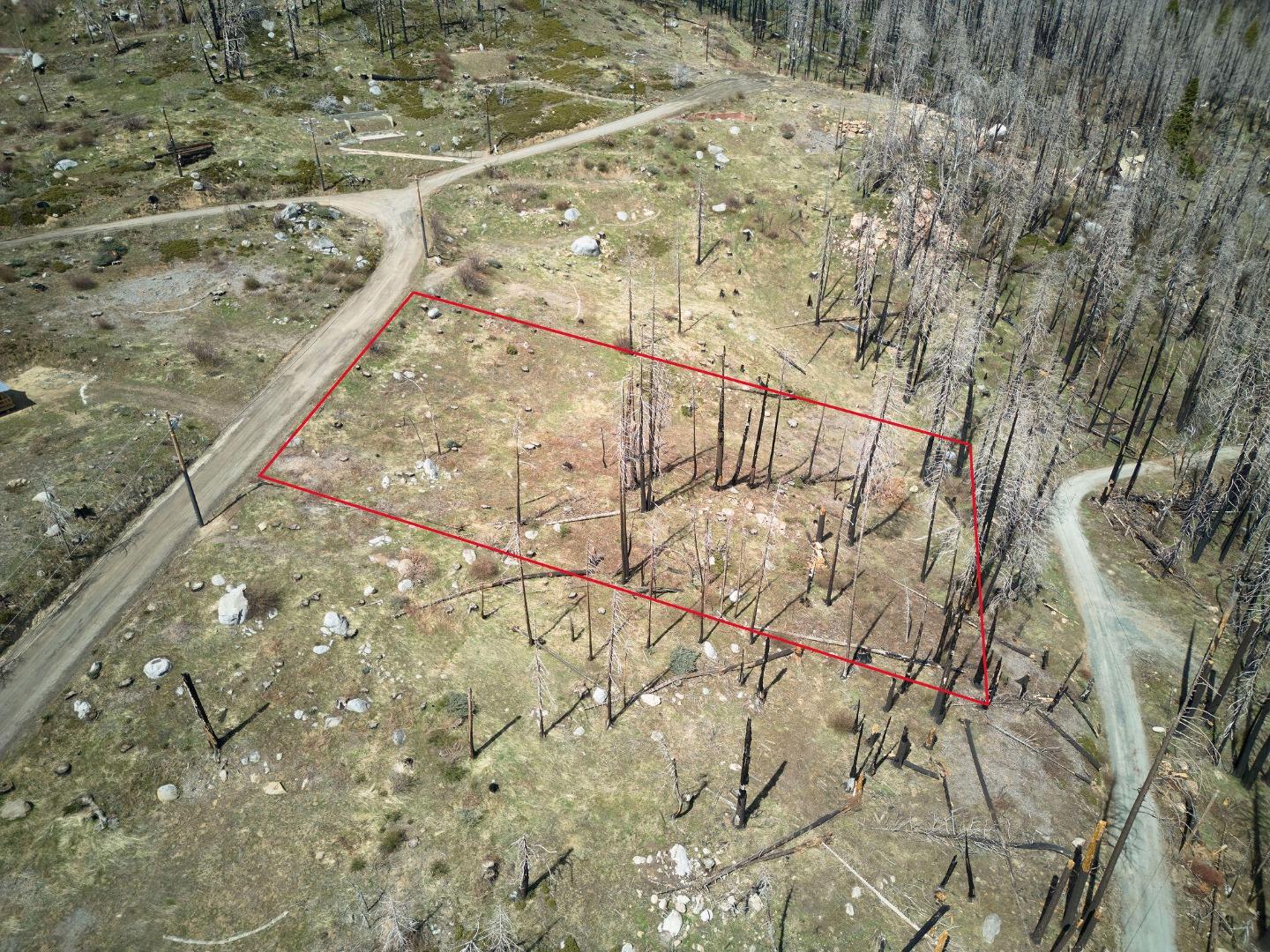 52975 Alpine Drive Springville, CA 93265 - Photo 17 of 23 a view of a yard with a tree