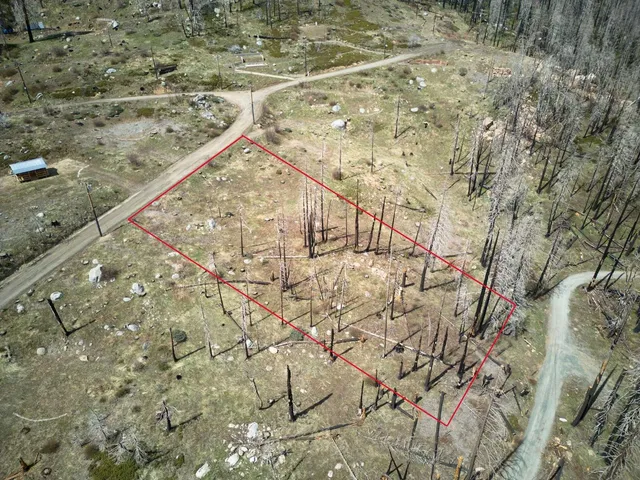 a view of a yard with wooden fence