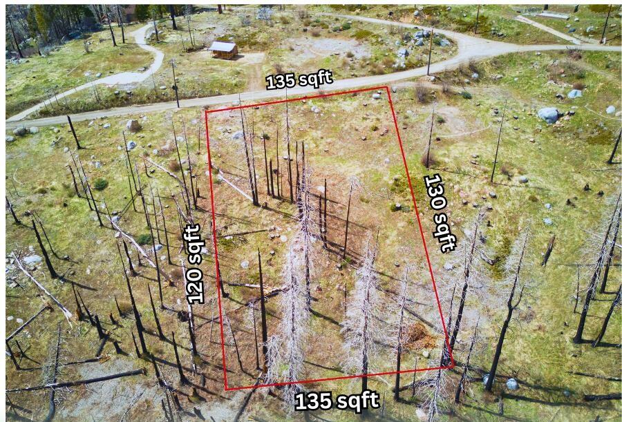 52975 Alpine Drive Springville, CA 93265 - Photo 2 of 23 a view of a pathway