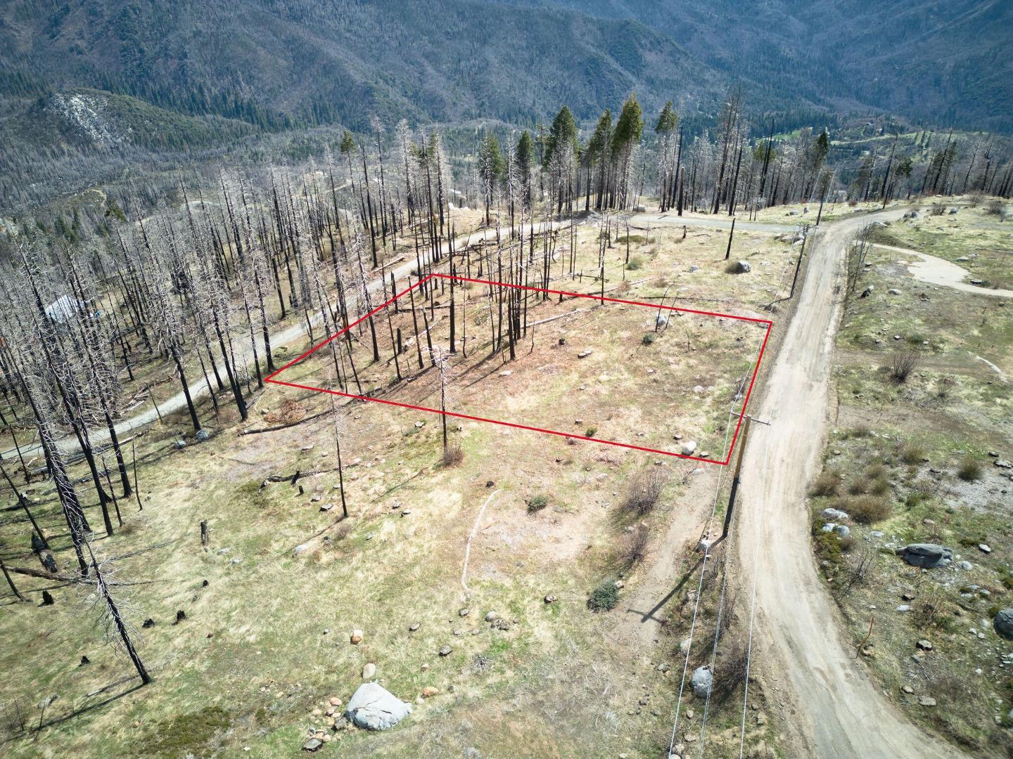 52975 Alpine Drive Springville, CA 93265 - Photo 6 of 23 a view of yard along with trees