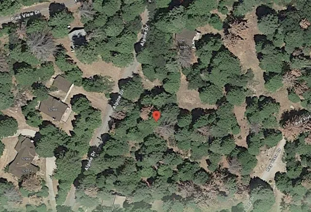 an aerial view of a house with a lush green forest