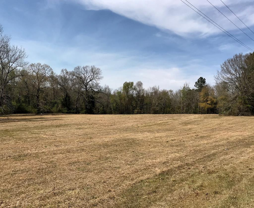 Lot 1 Holiness Church Road Wagener, SC 29164 - Photo 22 of 22