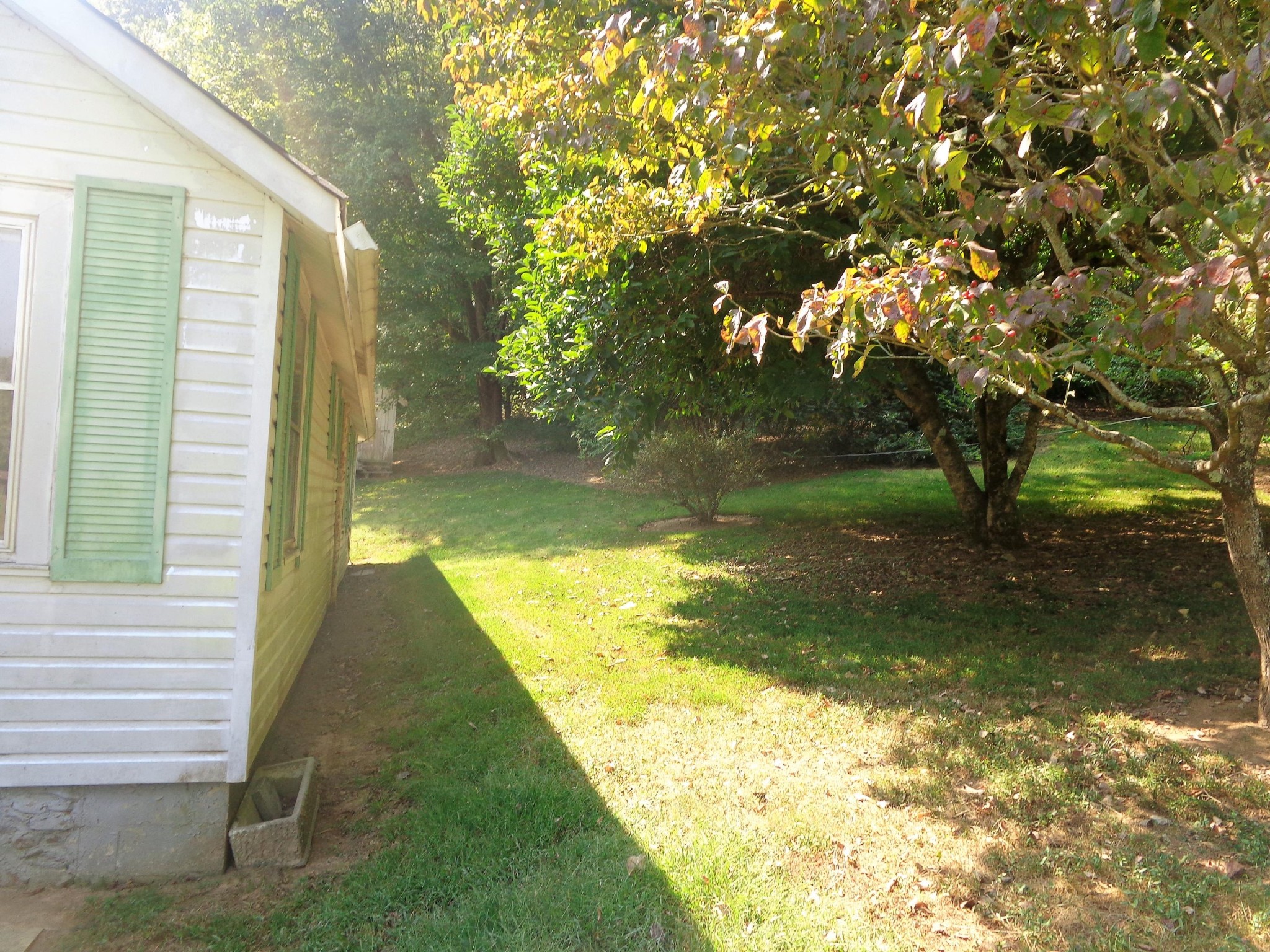 Gallery Image 7