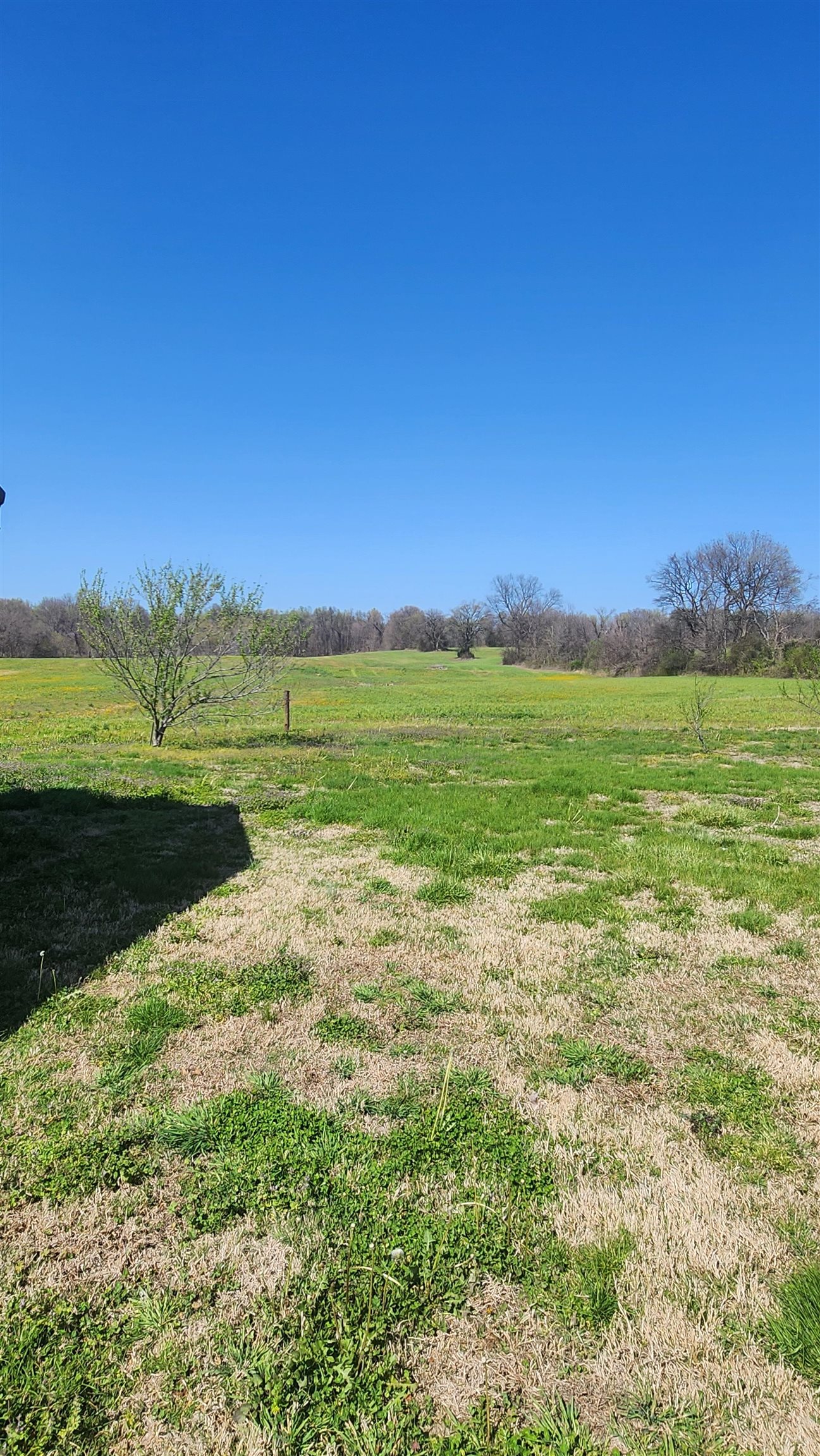 3226 19th Highway West Ripley, TN 38063 - Photo 17 of 18 a view of a big yard with an outdoor space and seating
