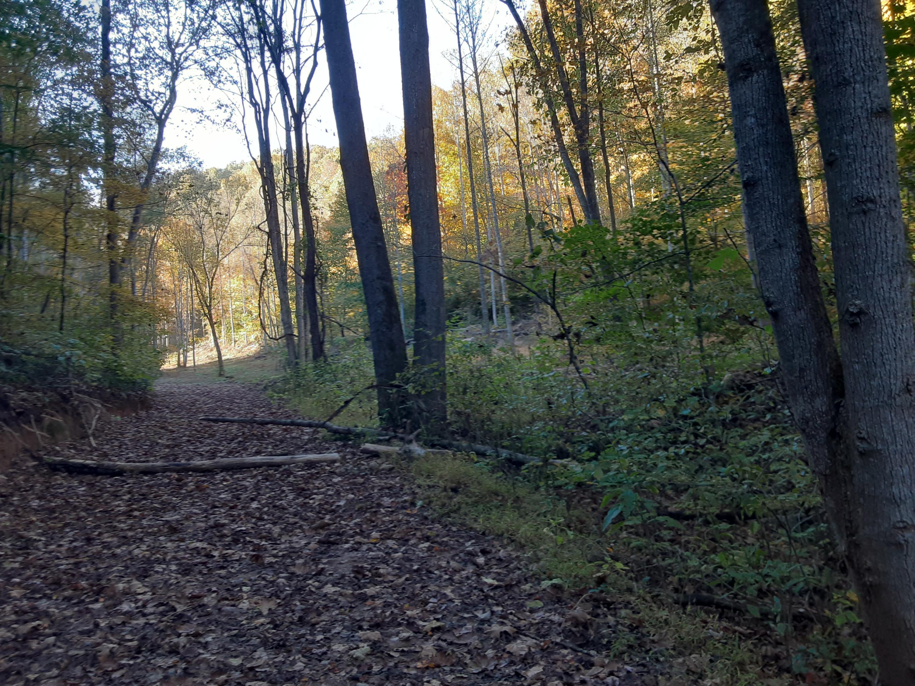 0 Caney Valley Road Tazewell, TN 37879 - Photo 12 of 29 20191023_161324
