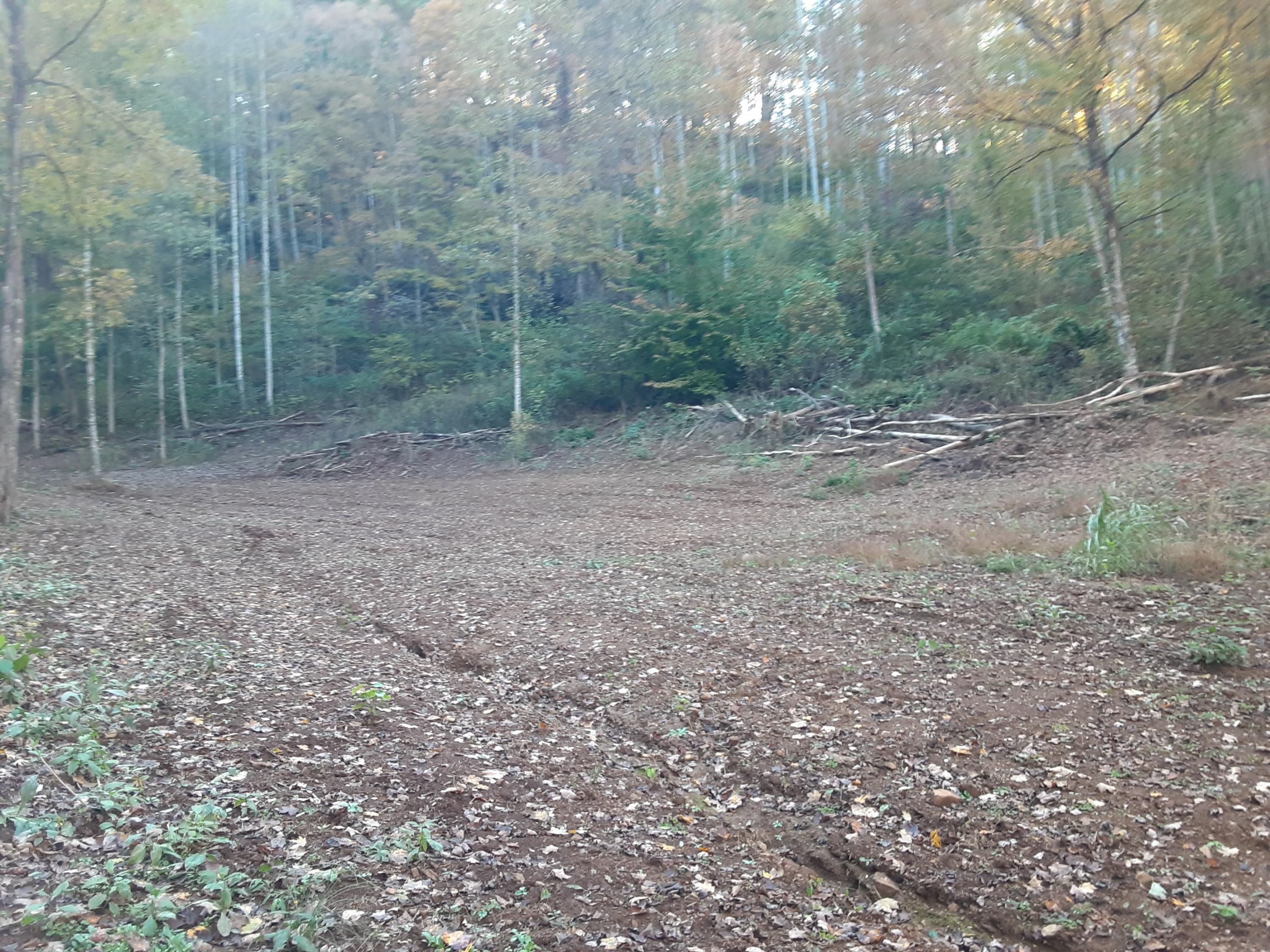 0 Caney Valley Road Tazewell, TN 37879 - Photo 14 of 29 20191023_161456
