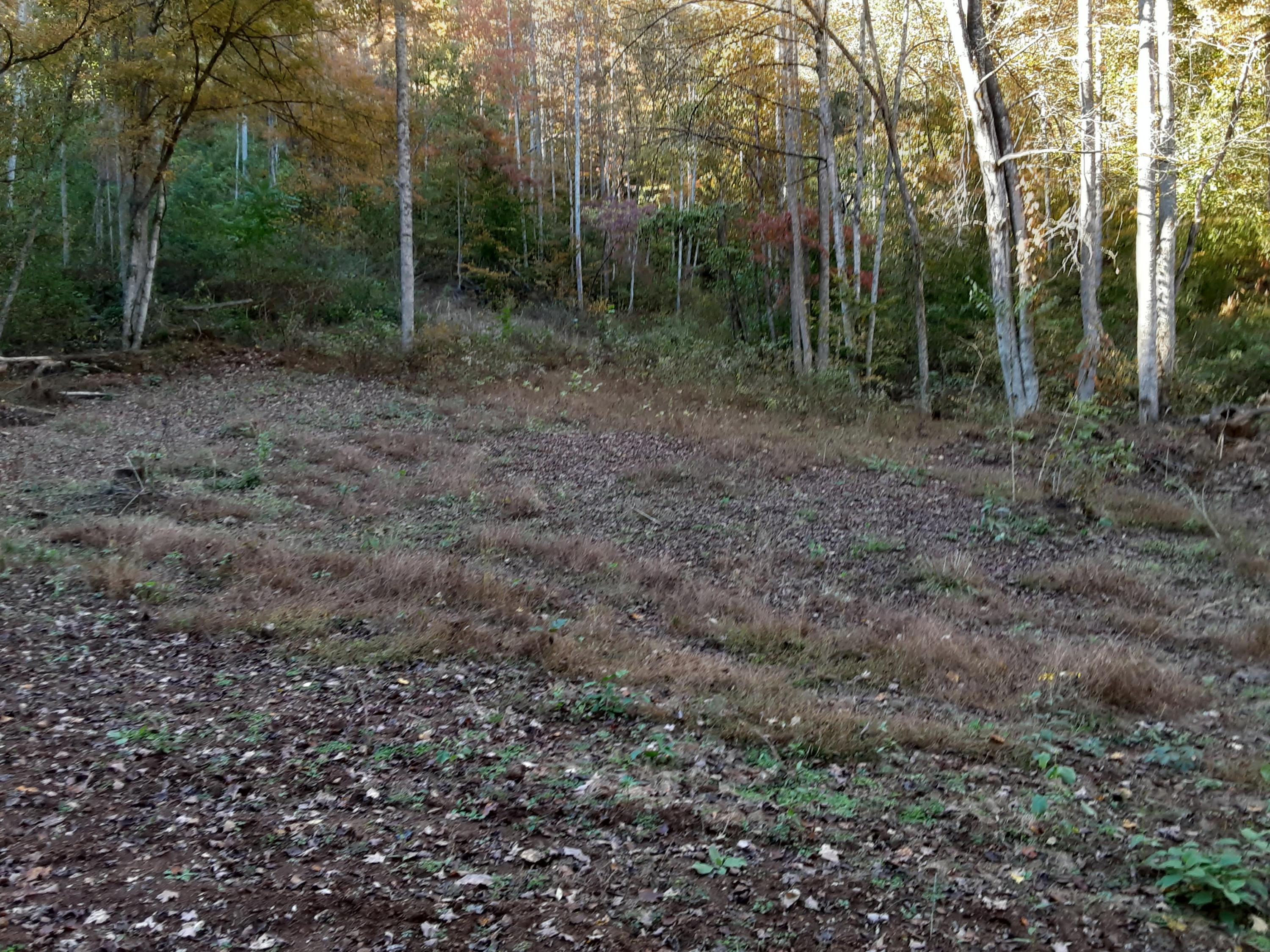 0 Caney Valley Road Tazewell, TN 37879 - Photo 15 of 29 20191023_161453