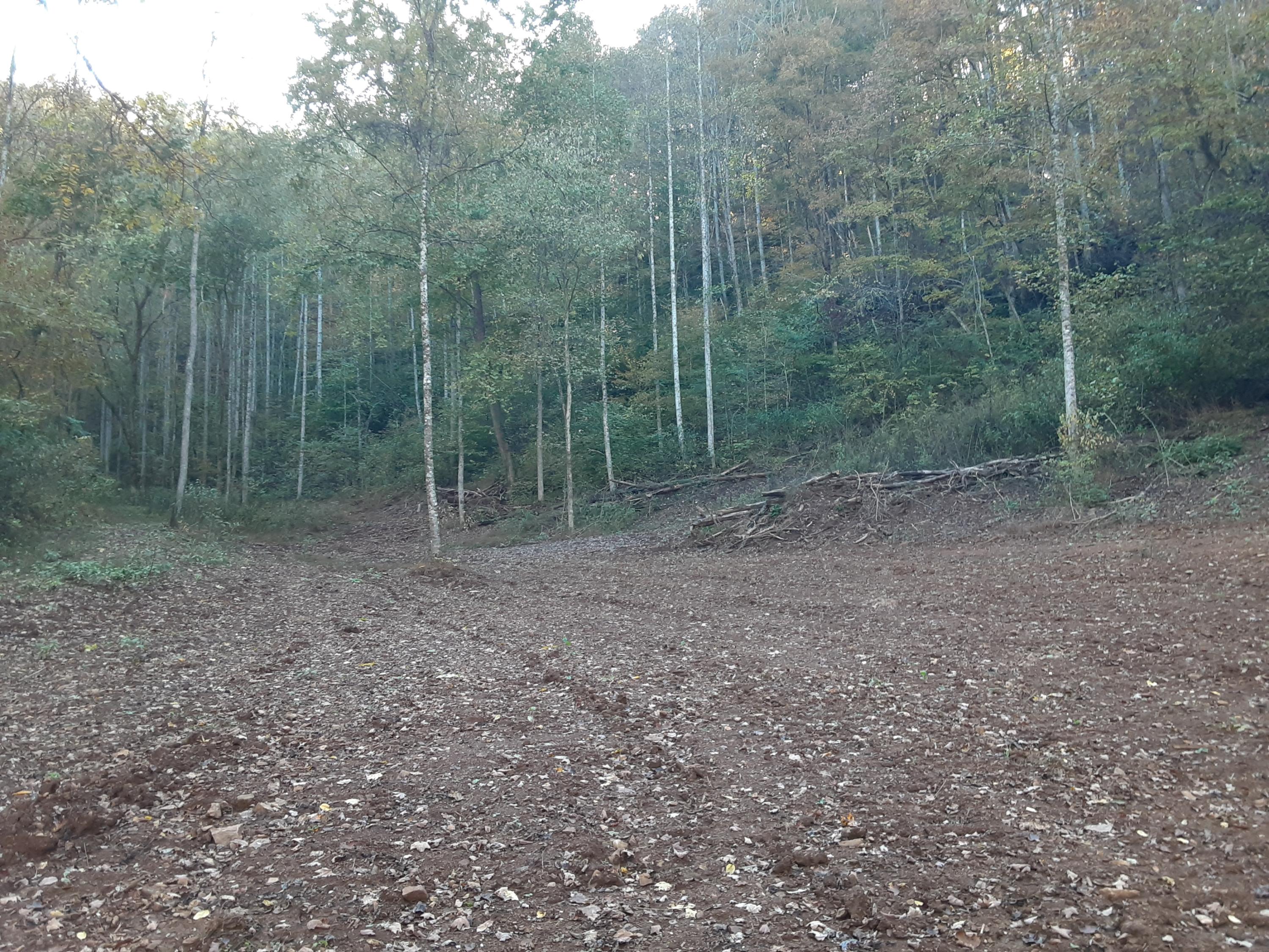 0 Caney Valley Road Tazewell, TN 37879 - Photo 16 of 29 20191023_161512