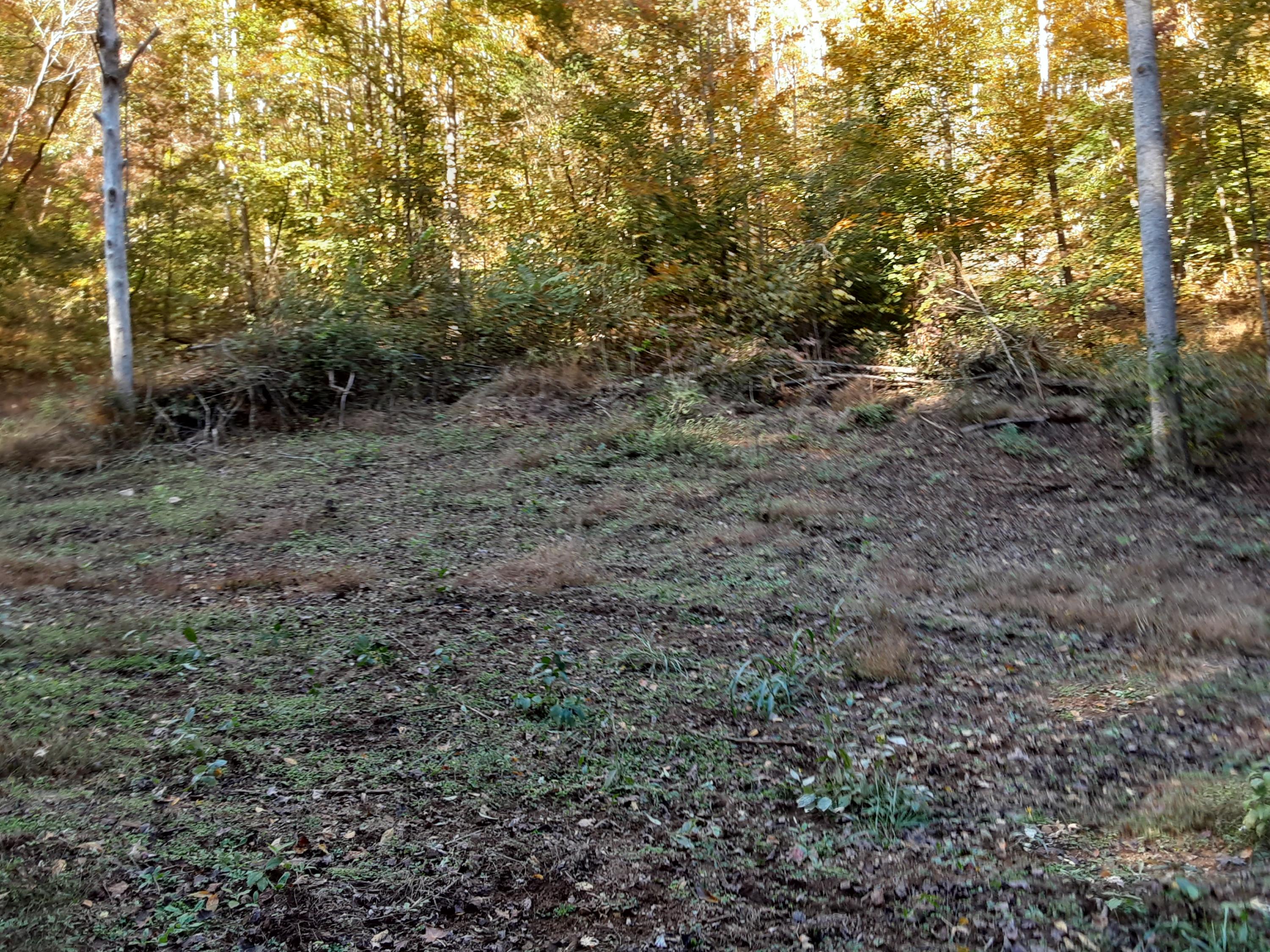 0 Caney Valley Road Tazewell, TN 37879 - Photo 17 of 29 20191023_161412