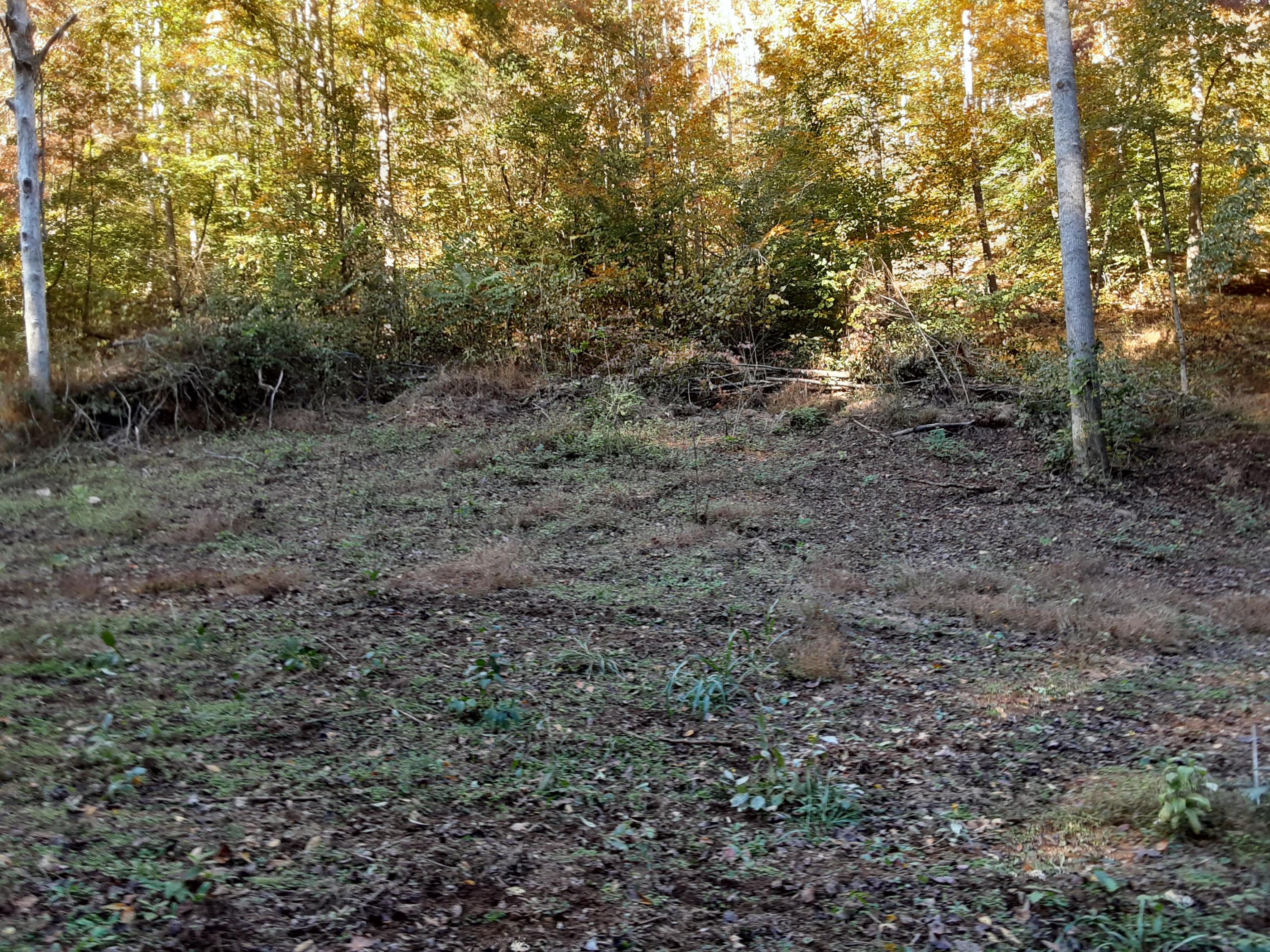 0 Caney Valley Road Tazewell, TN 37879 - Photo 18 of 29 20191023_161410