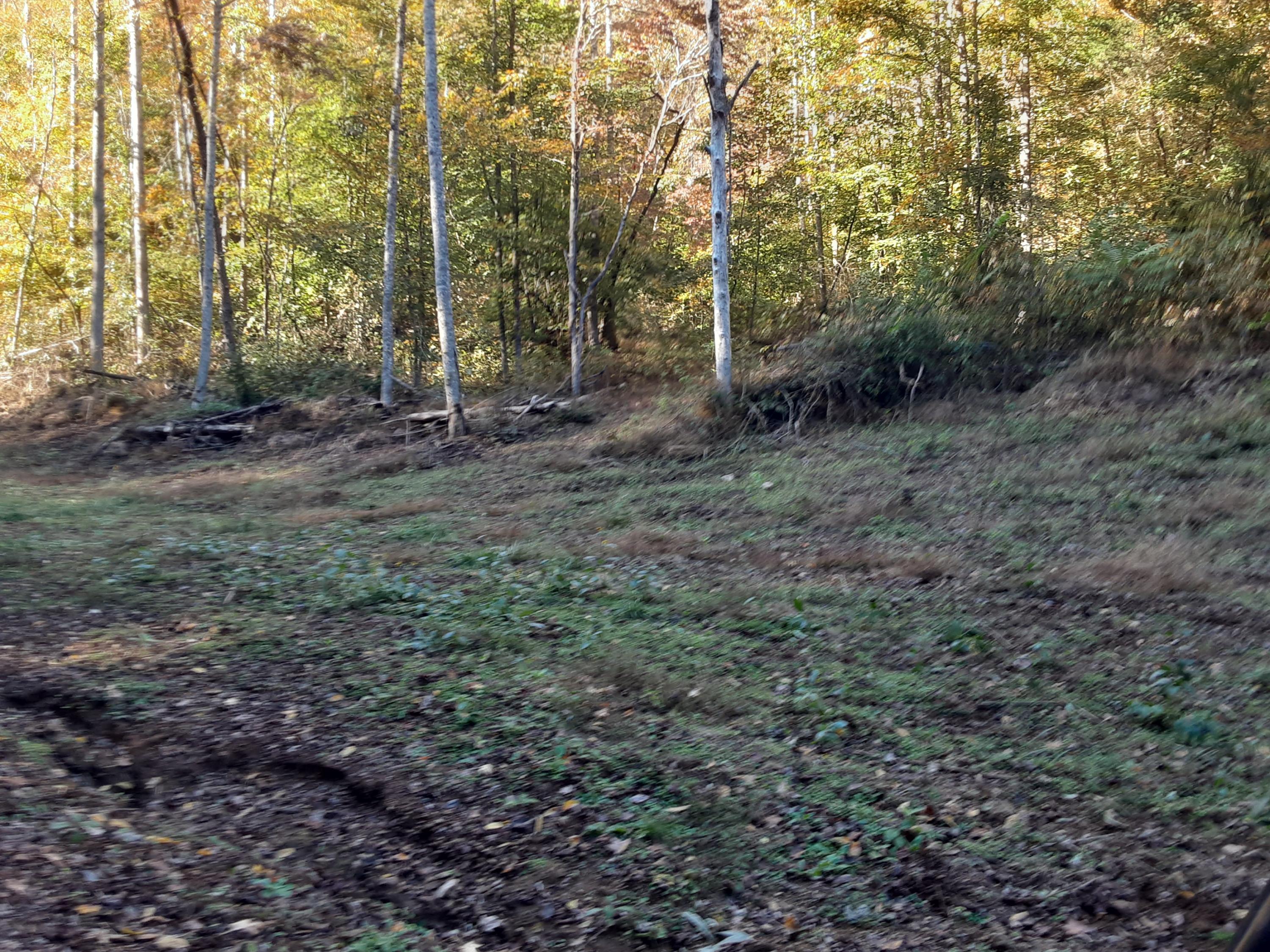 0 Caney Valley Road Tazewell, TN 37879 - Photo 19 of 29 20191023_161416