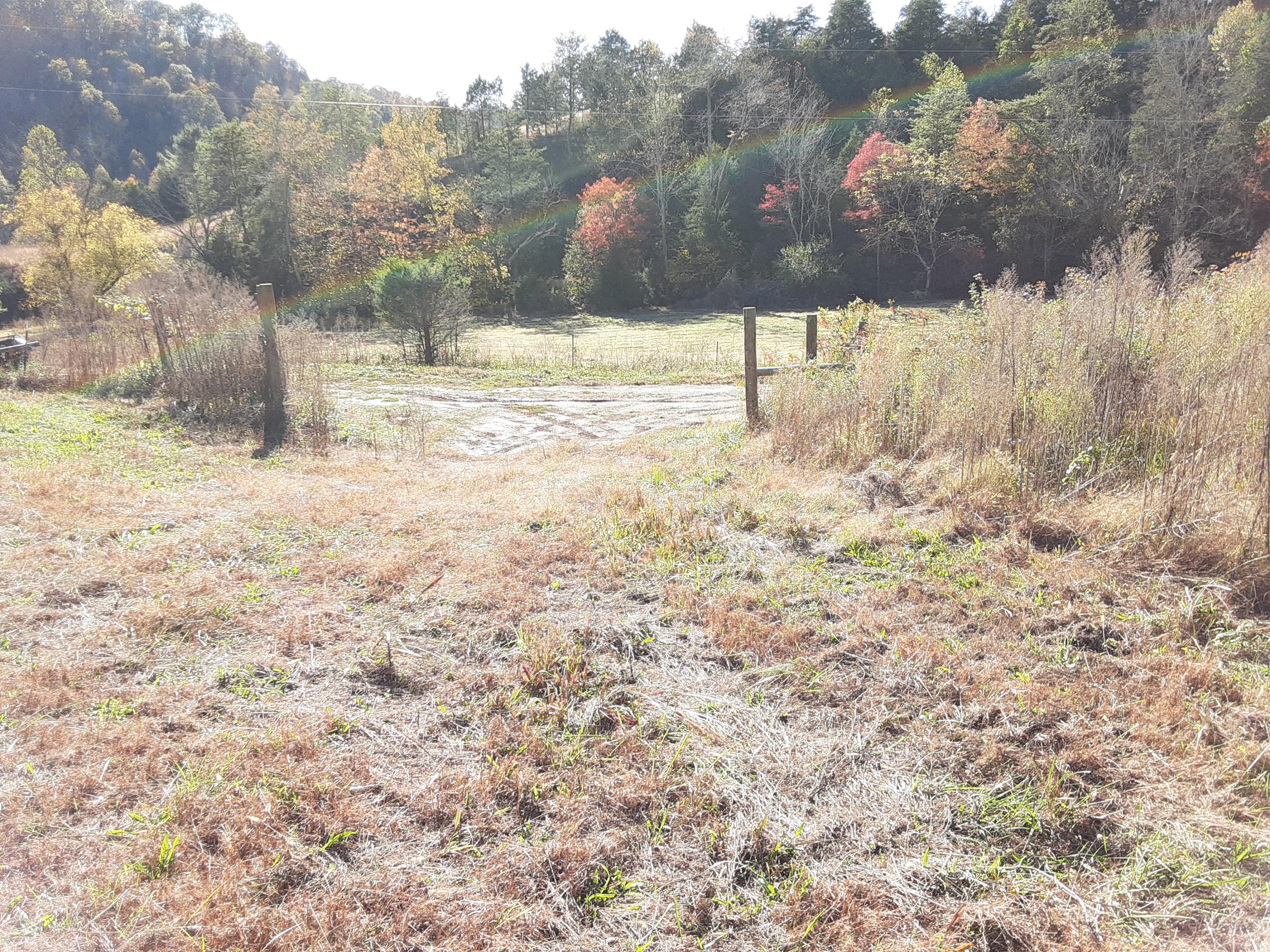 0 Caney Valley Road Tazewell, TN 37879 - Photo 3 of 29 20191023_155930 (1)