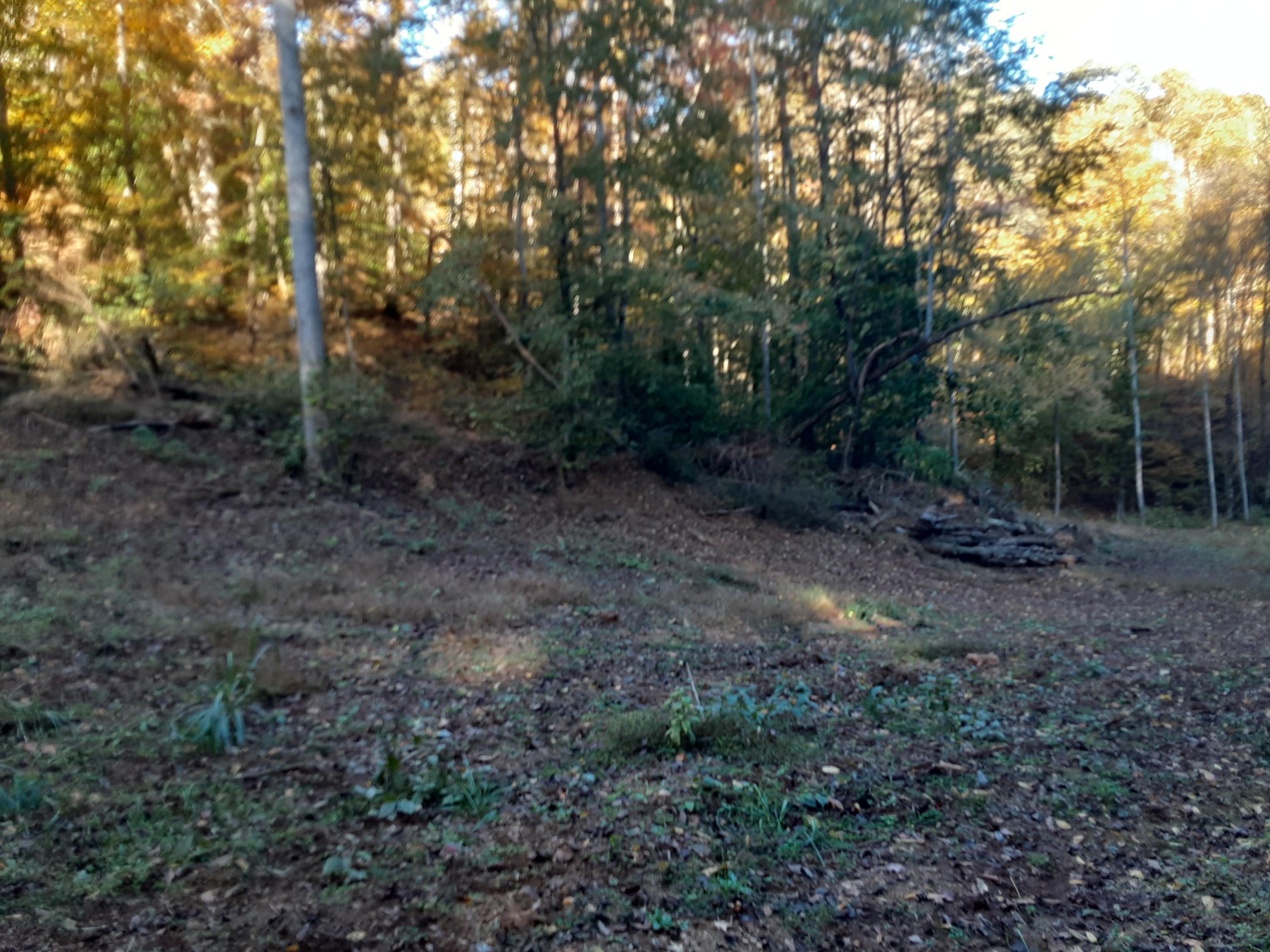 0 Caney Valley Road Tazewell, TN 37879 - Photo 21 of 29 20191023_161624