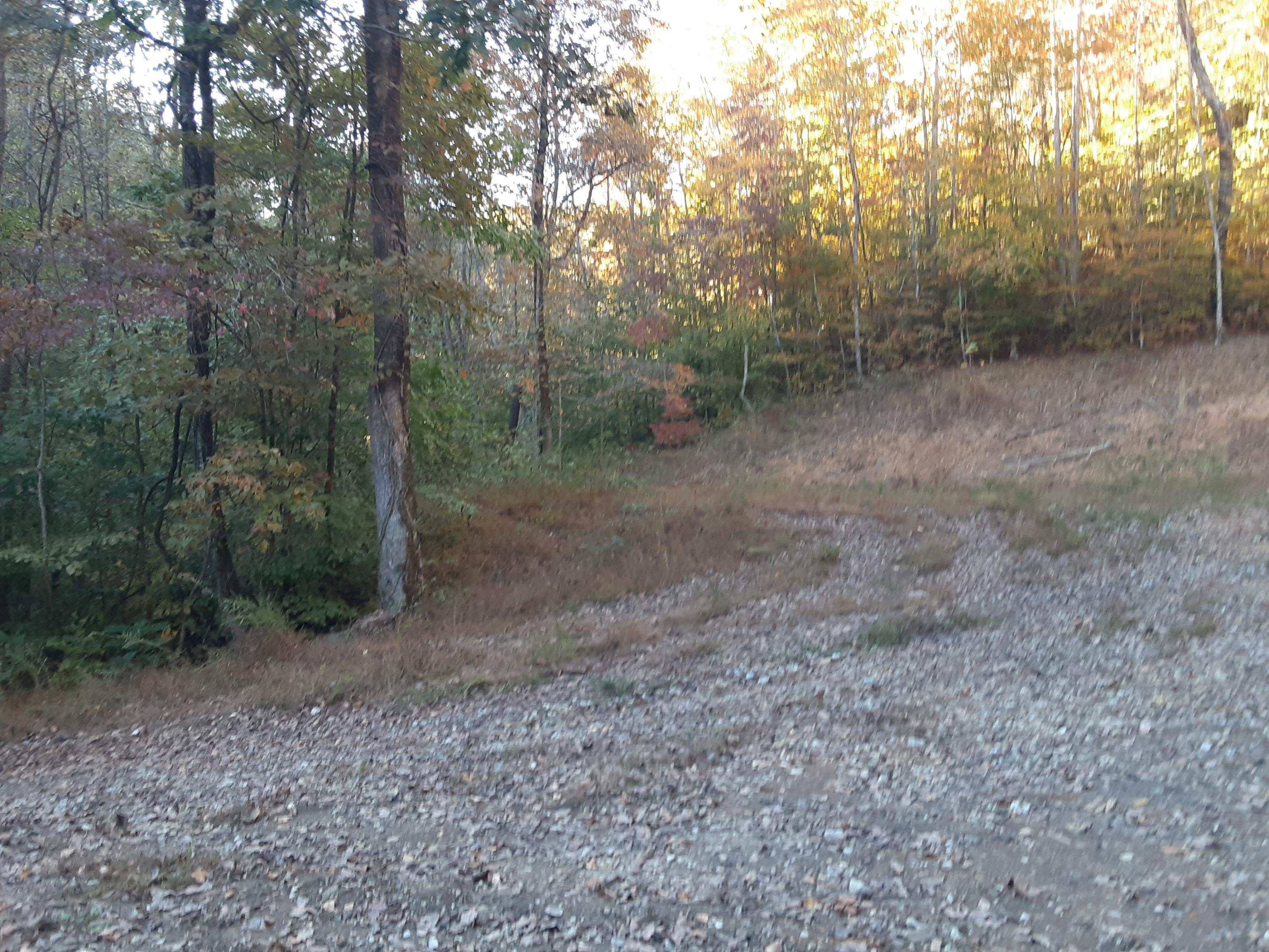 0 Caney Valley Road Tazewell, TN 37879 - Photo 25 of 29 20191023_161208
