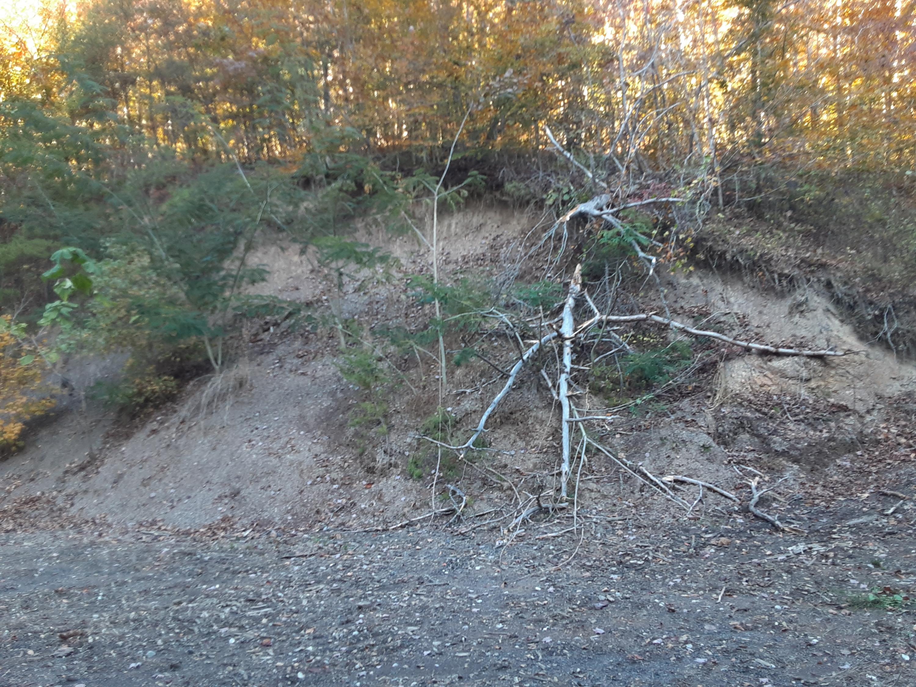 0 Caney Valley Road Tazewell, TN 37879 - Photo 26 of 29 20191023_161158