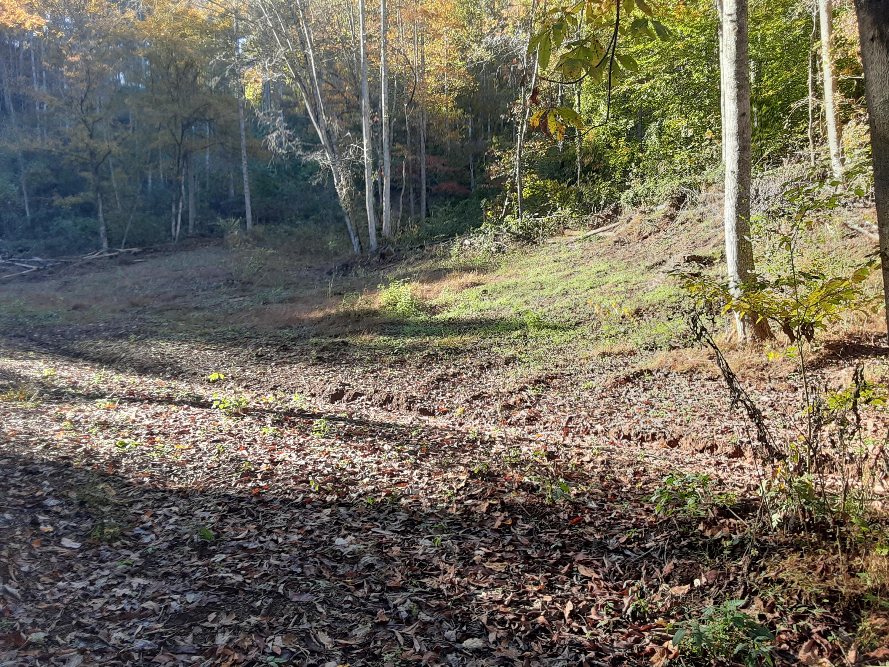 0 Caney Valley Road Tazewell, TN 37879 - Photo 27 of 29 20191023_161438