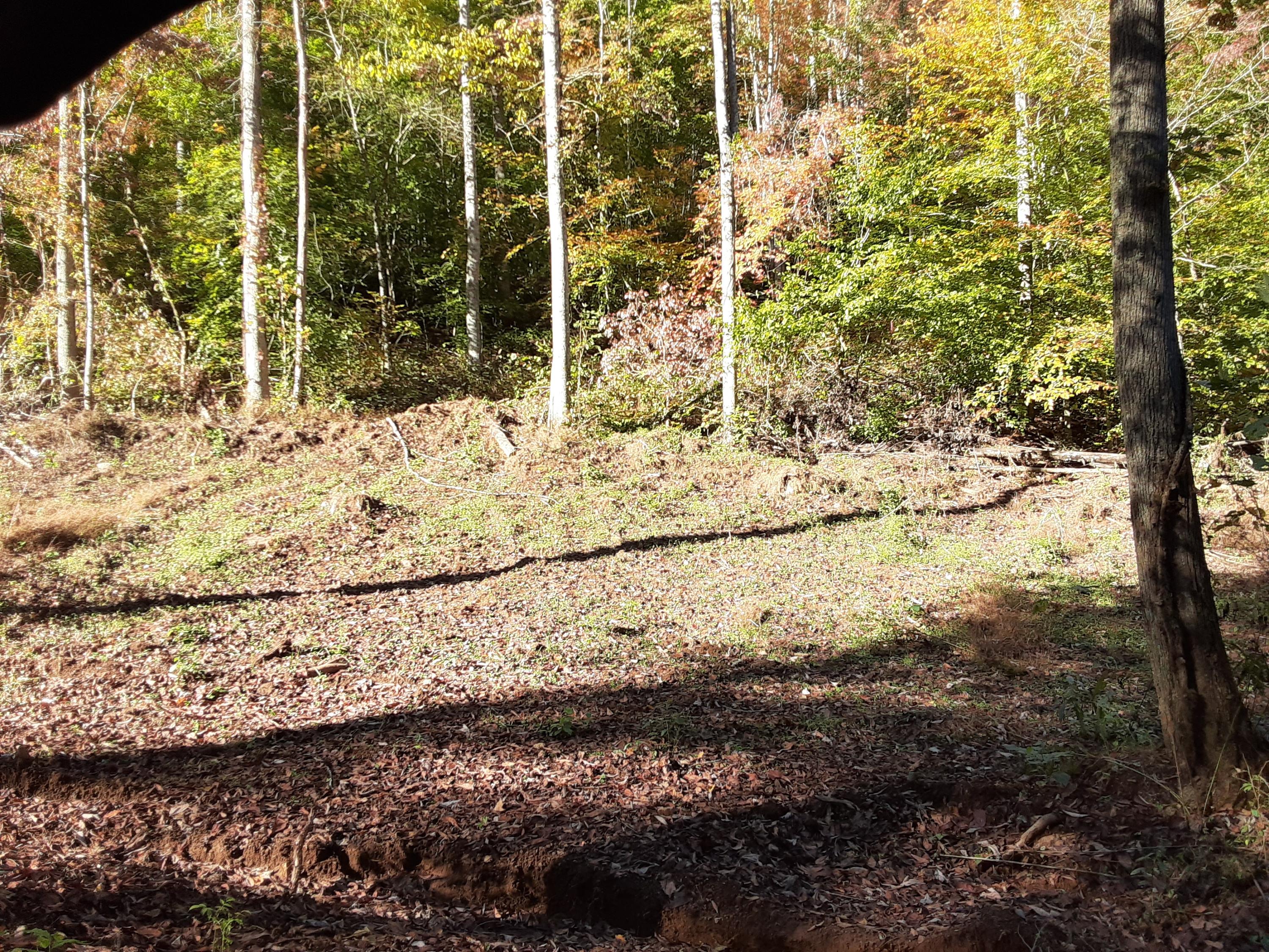 0 Caney Valley Road Tazewell, TN 37879 - Photo 28 of 29 20191023_161433