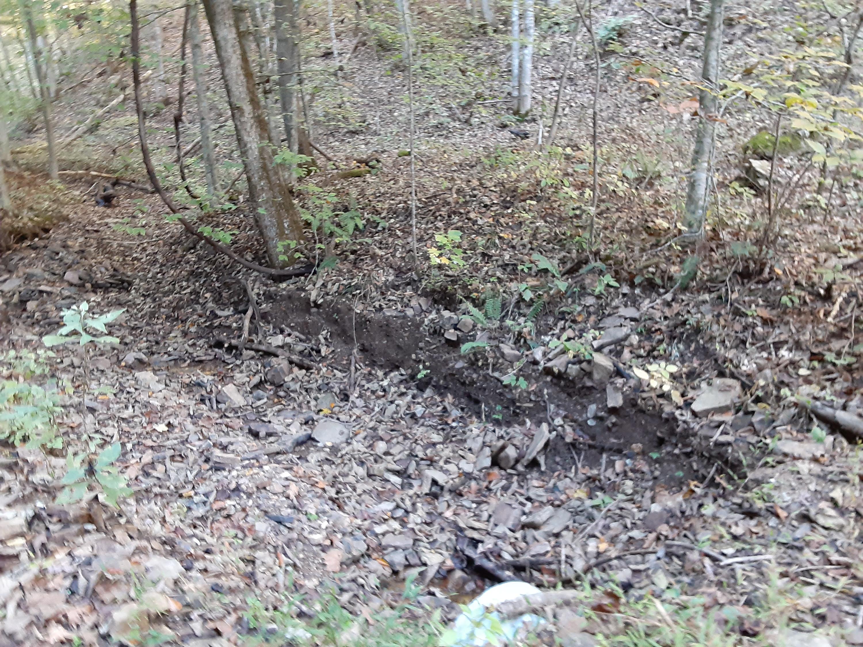 0 Caney Valley Road Tazewell, TN 37879 - Photo 29 of 29 20191023_160648 (1)
