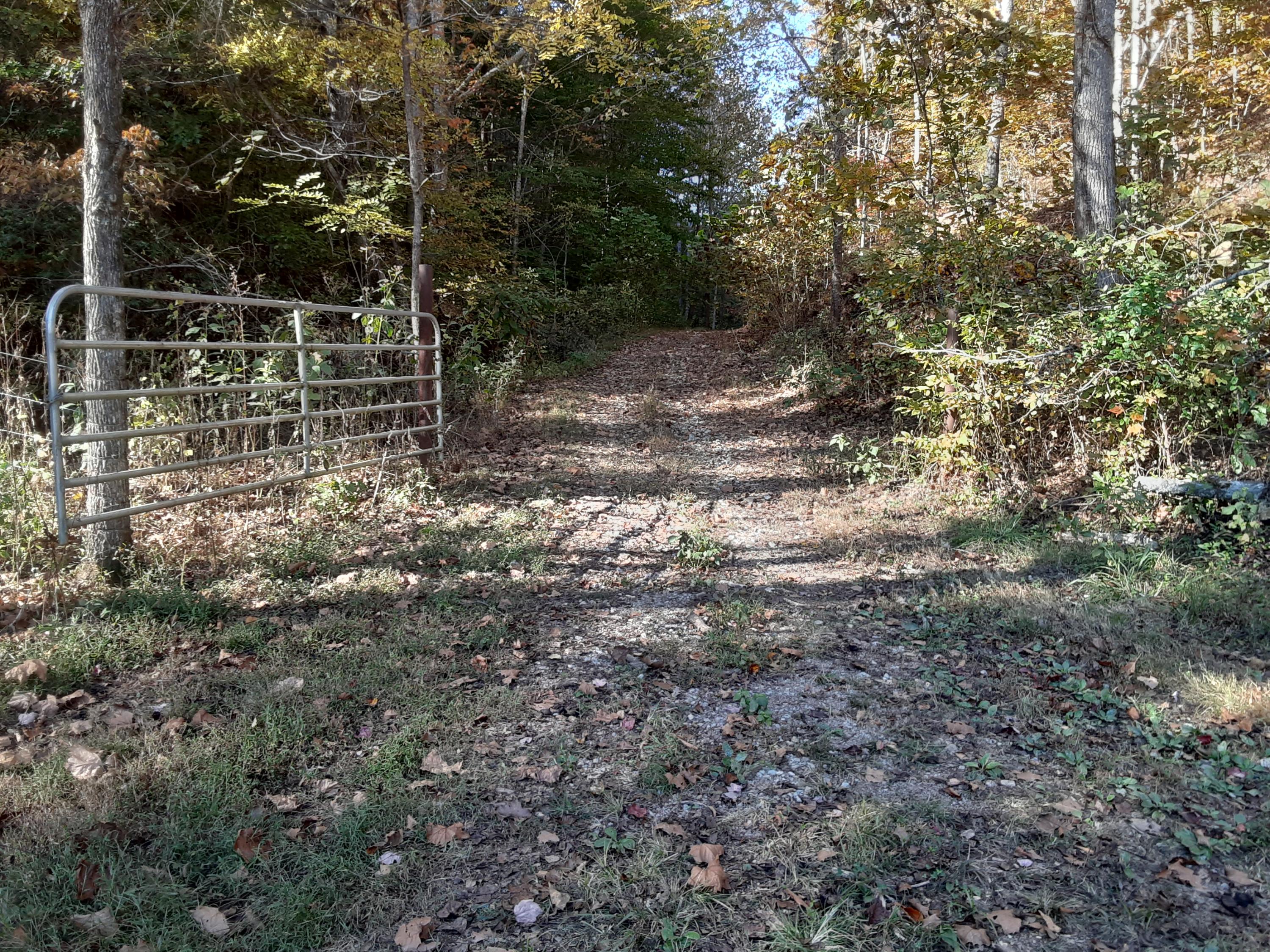 0 Caney Valley Road Tazewell, TN 37879 - Photo 4 of 29 20191023_160538 (1)