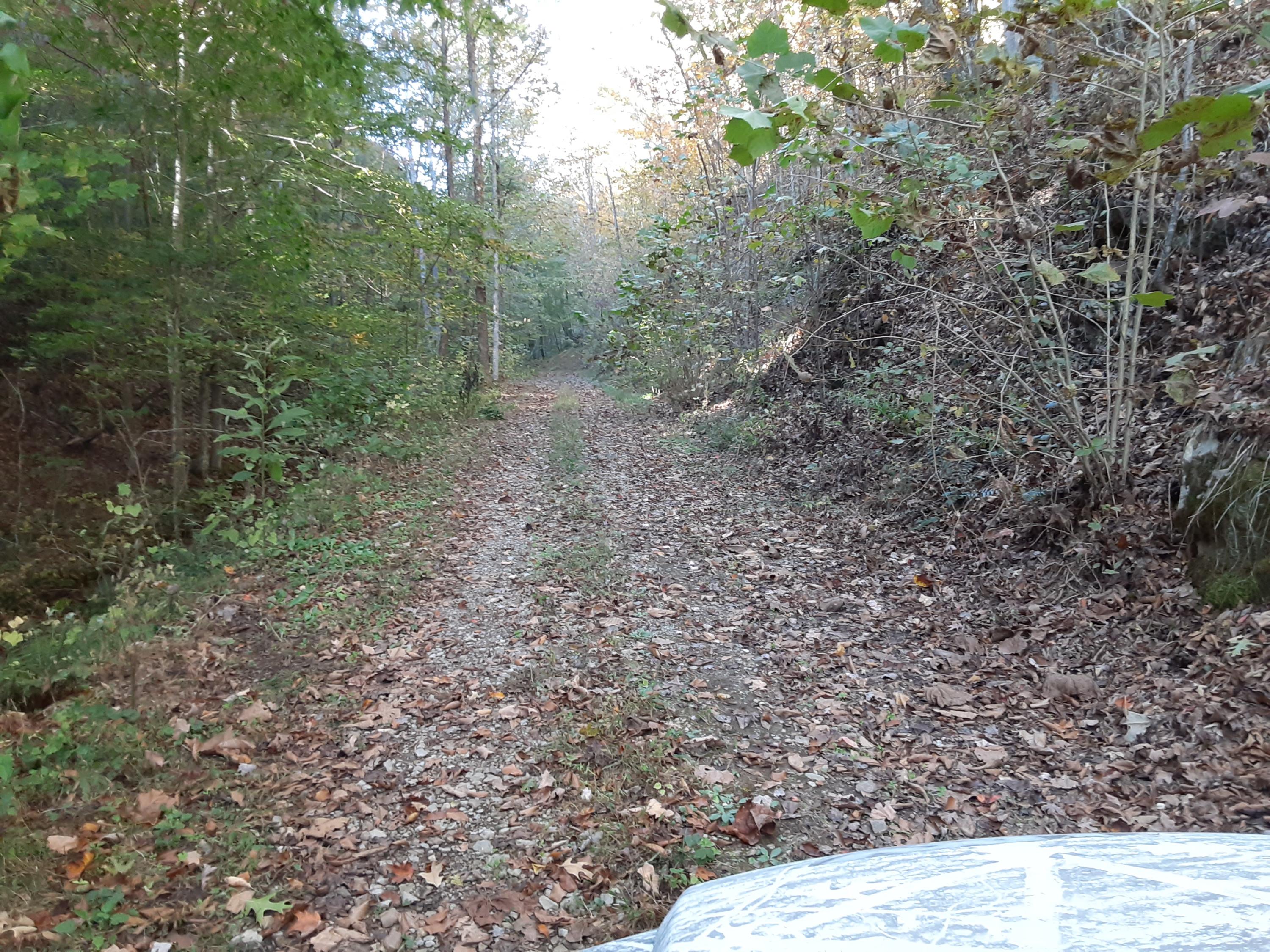 0 Caney Valley Road Tazewell, TN 37879 - Photo 5 of 29 20191023_160614 (1)