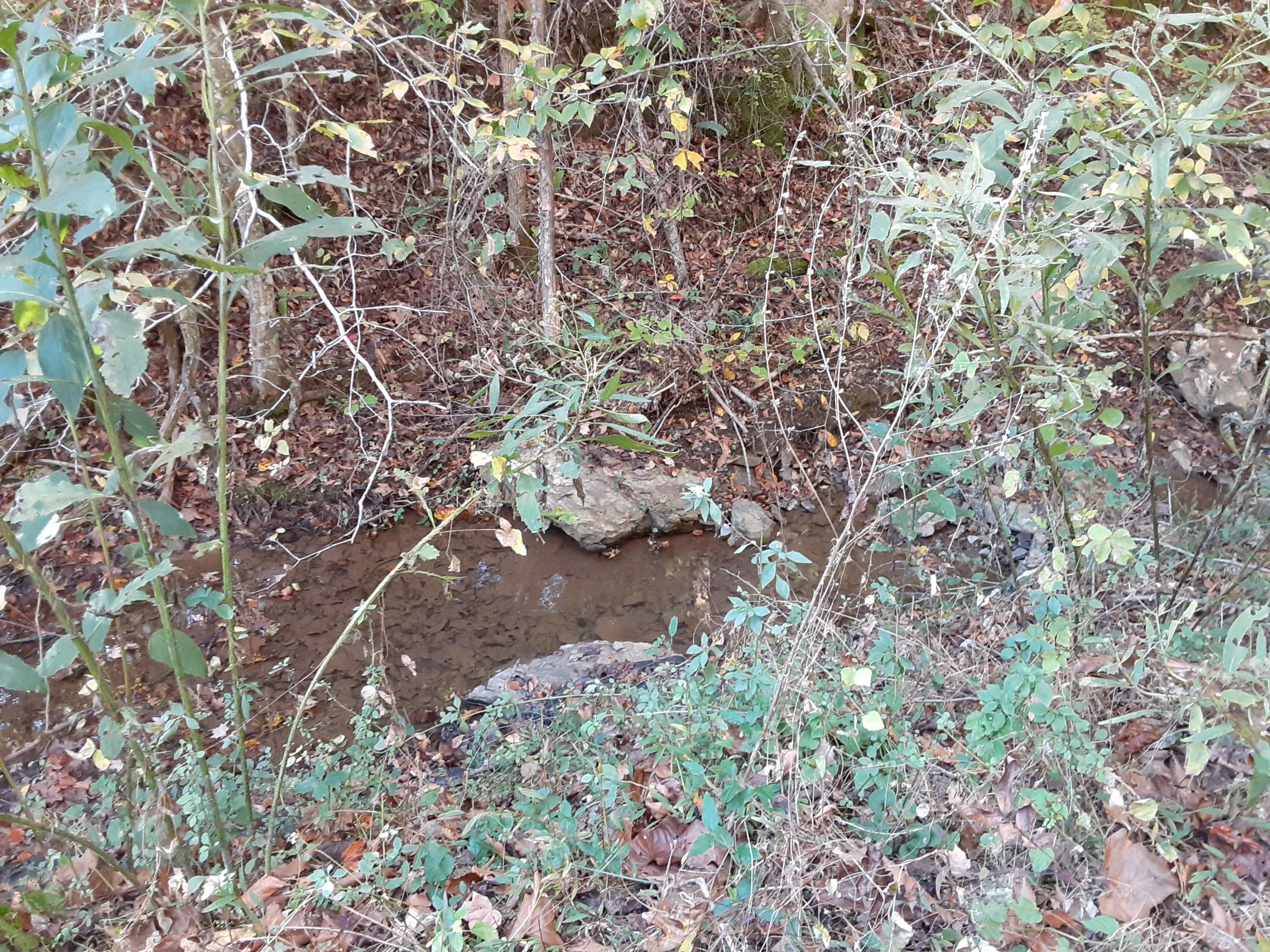0 Caney Valley Road Tazewell, TN 37879 - Photo 6 of 29 20191023_160606 (1)