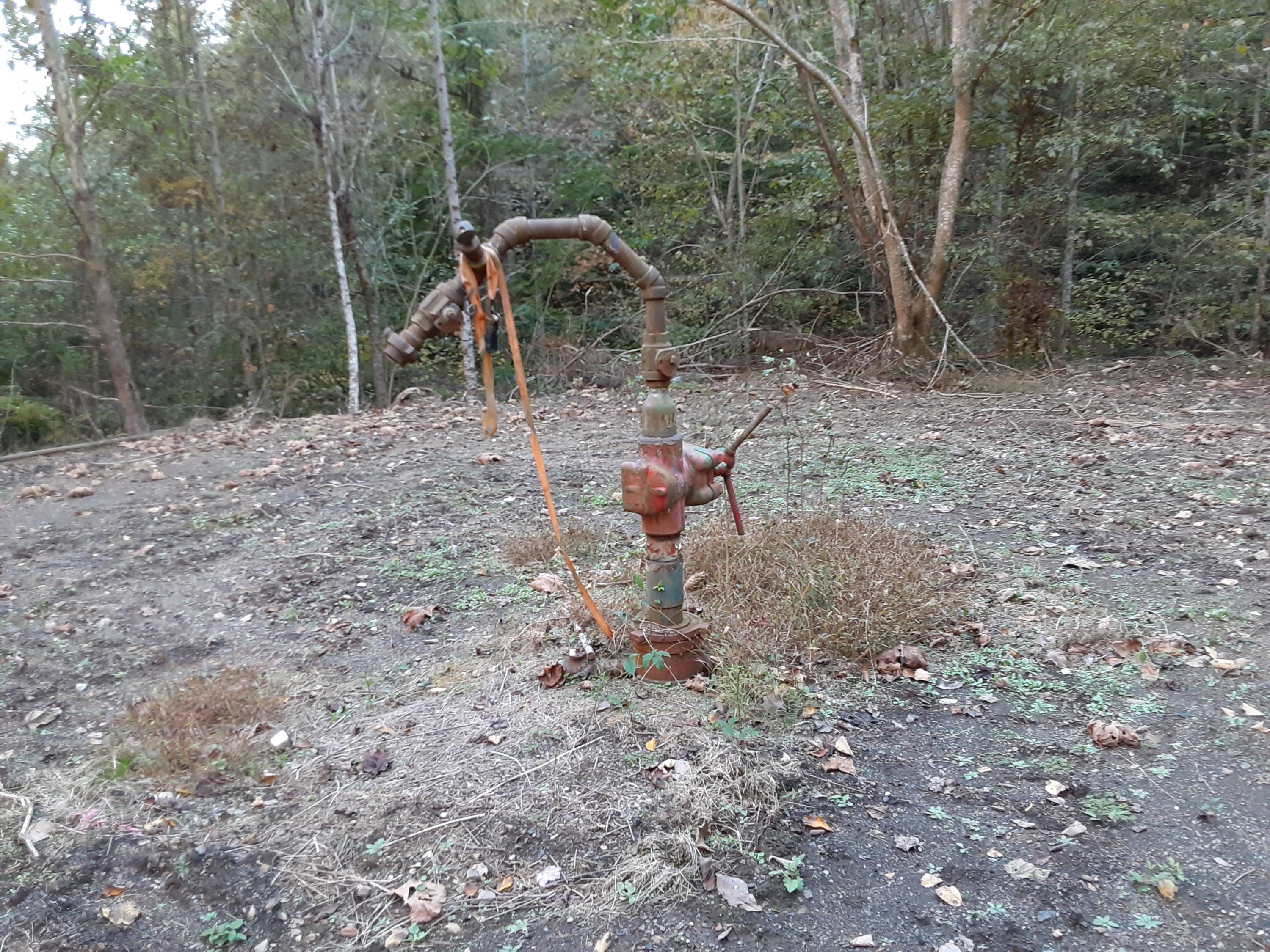 0 Caney Valley Road Tazewell, TN 37879 - Photo 8 of 29 20191023_160958