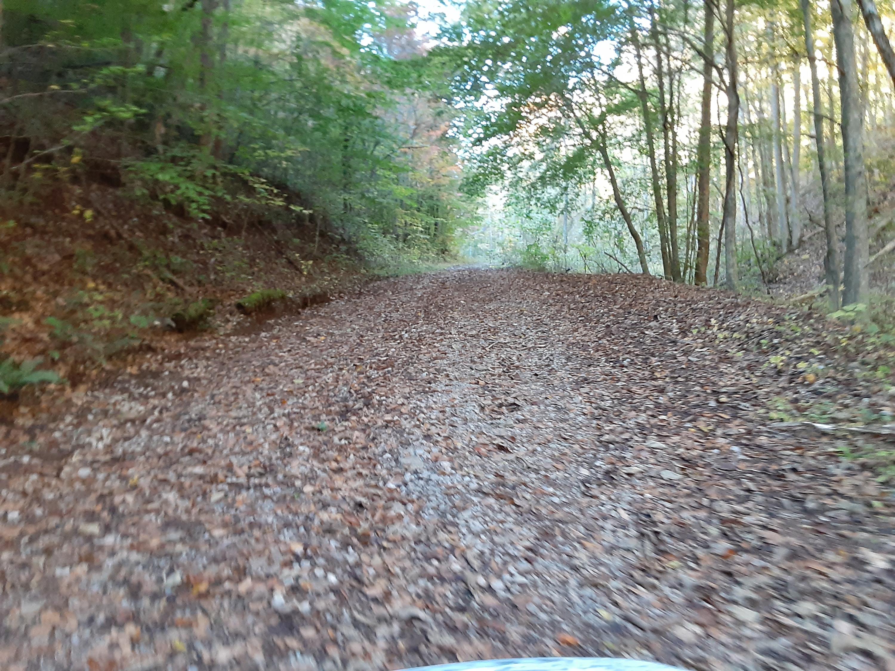 0 Caney Valley Road Tazewell, TN 37879 - Photo 9 of 29 20191023_160653 (1)