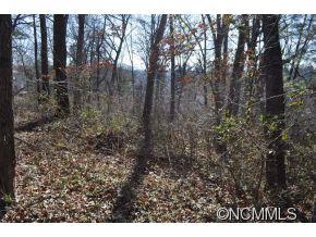 64 Pelham Road, Unit 64 Asheville, NC 28803 - Photo 1 of 2 Gallery Image 1
