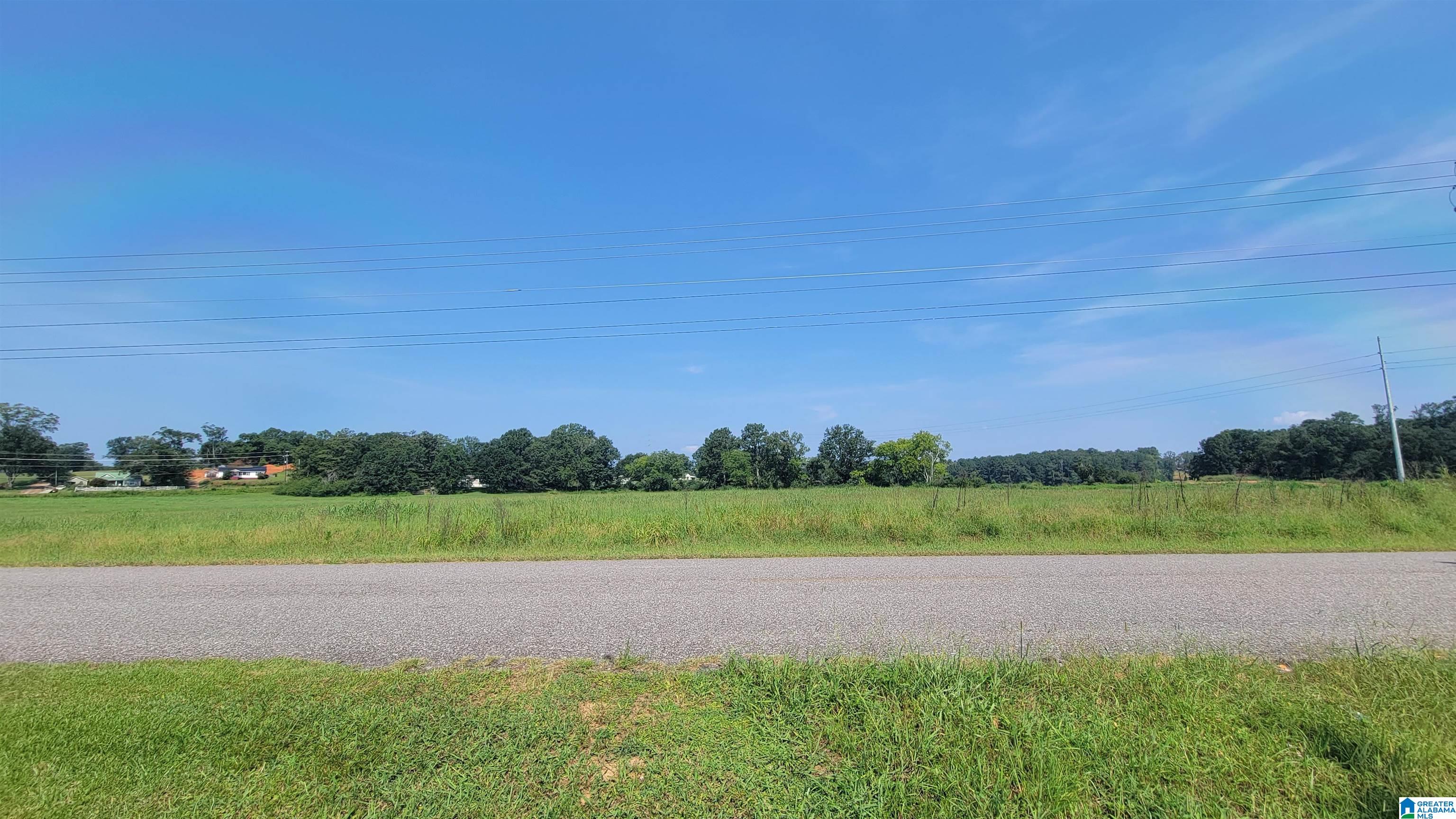 0 Patton Chapel Road, Unit PARCEL 1 Lincoln, AL 35096 - Photo 2 of 6